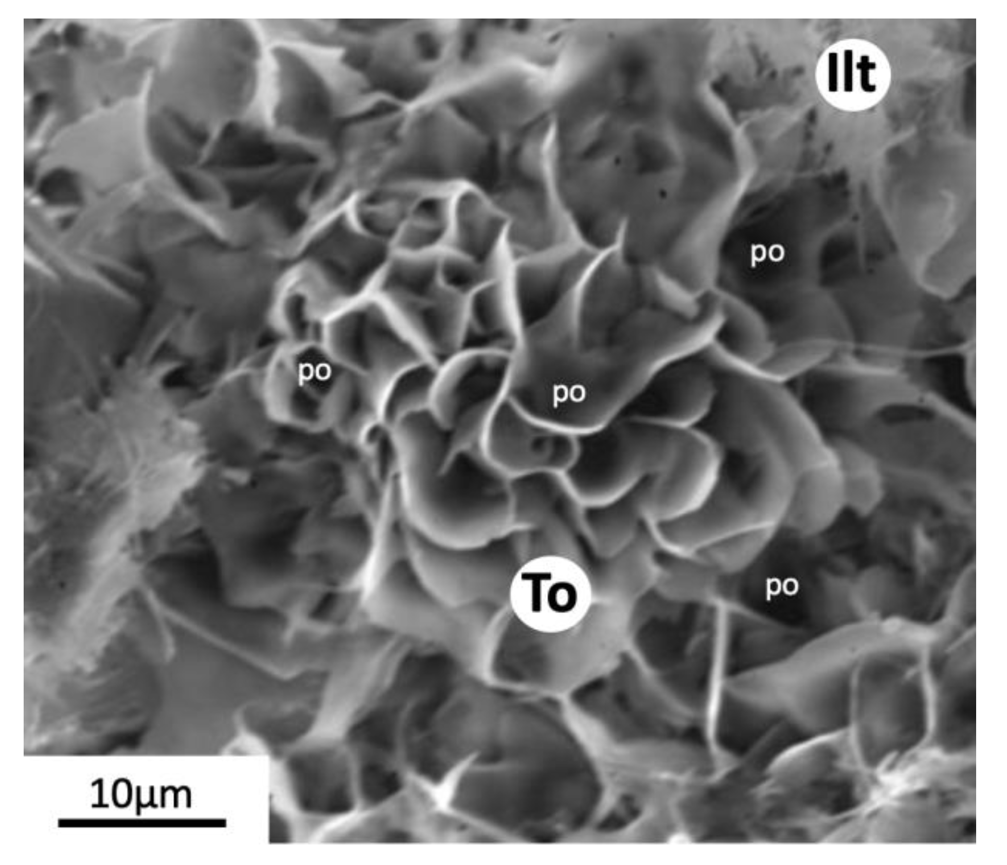 Minerals 14 00263 g006