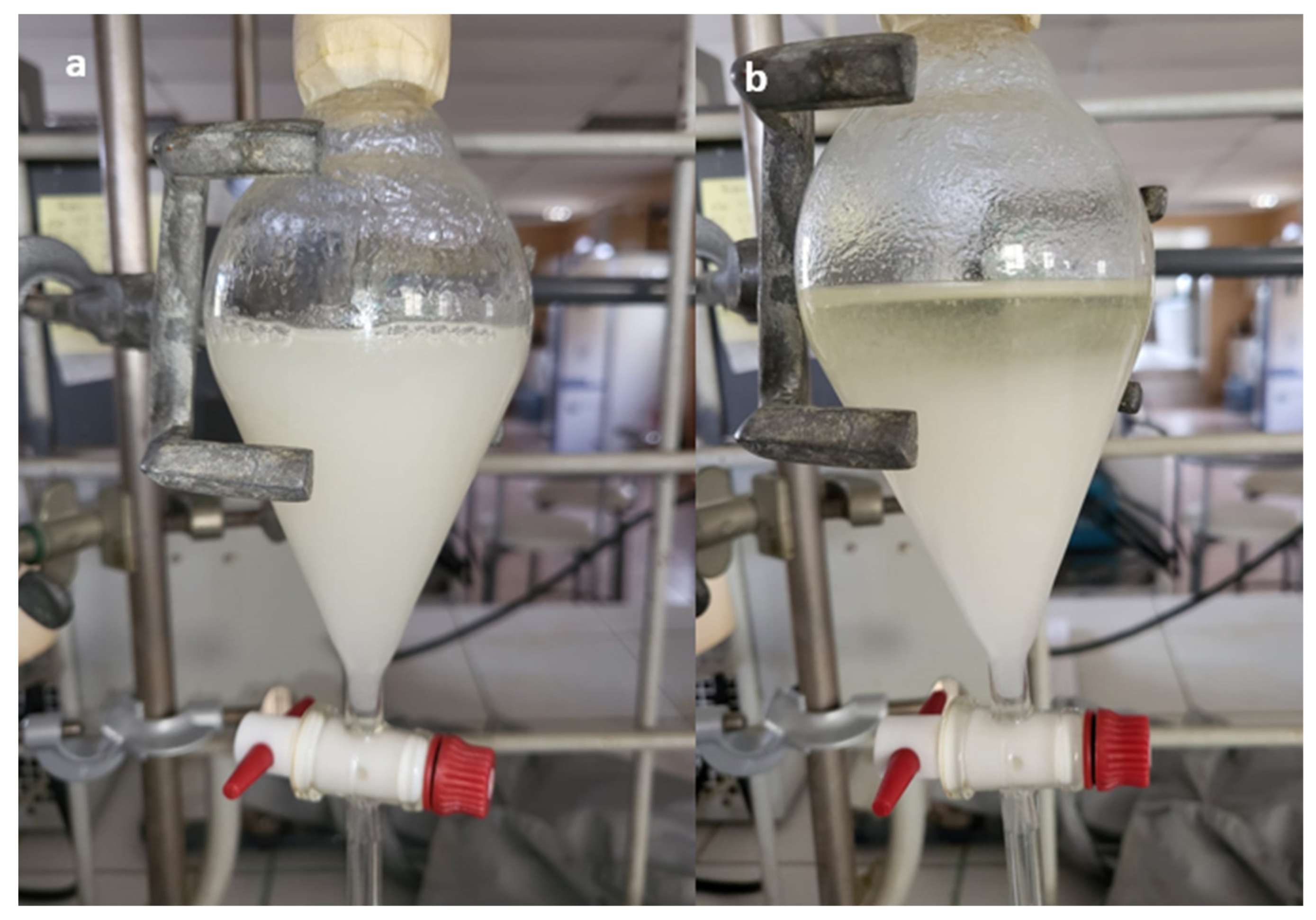 Minerals 14 00265 g010