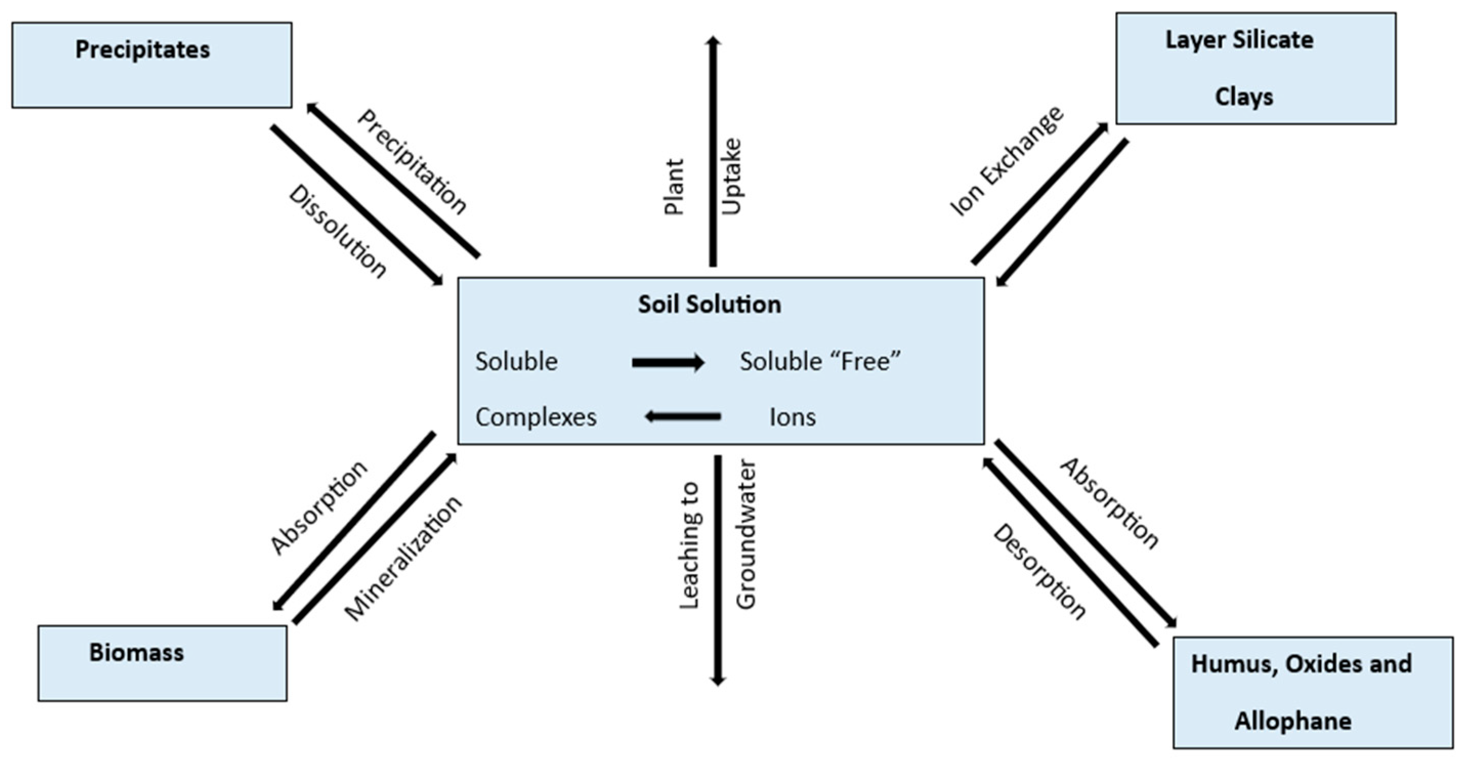 Minerals 14 00294 g006