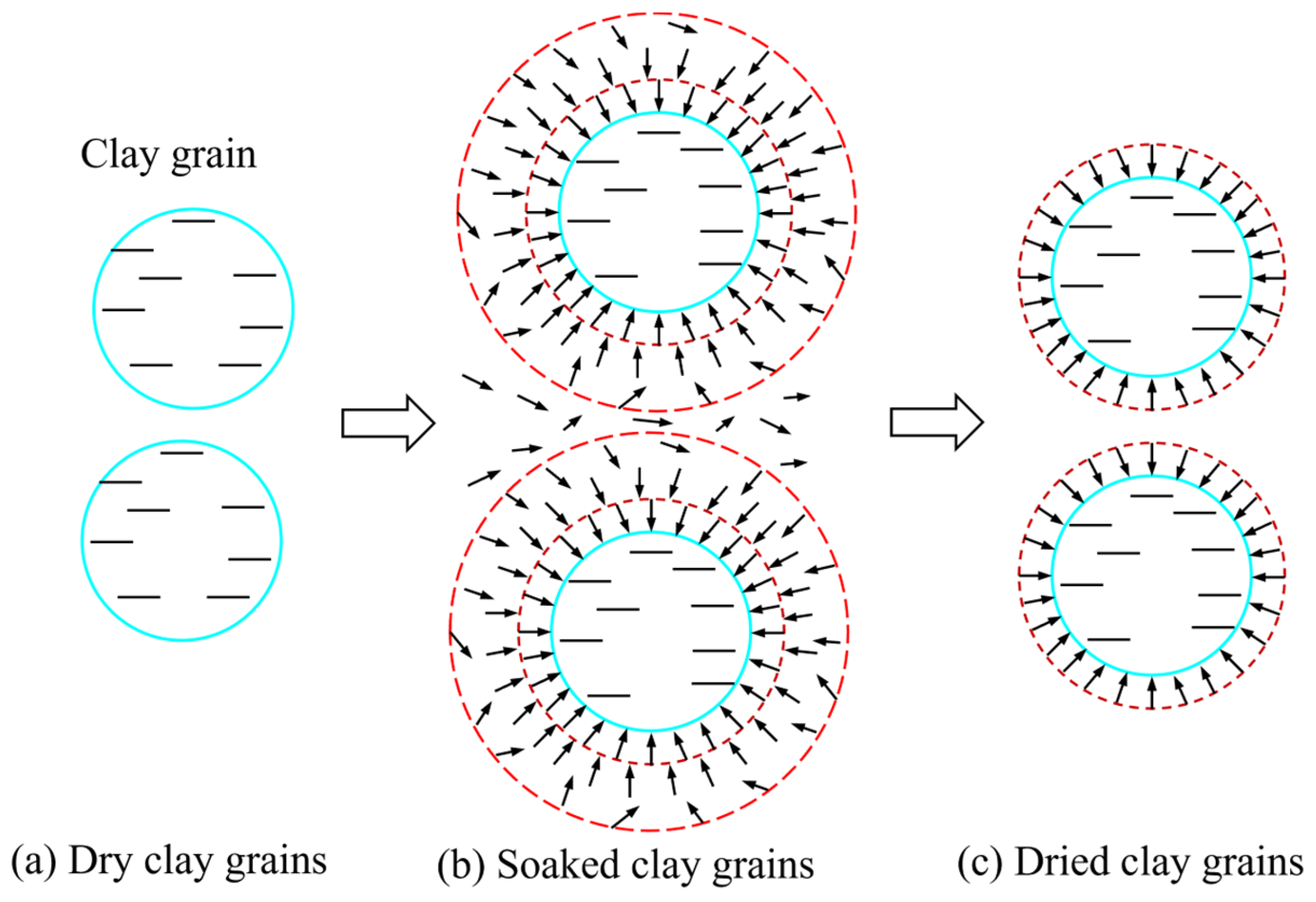 Minerals 14 00296 g013