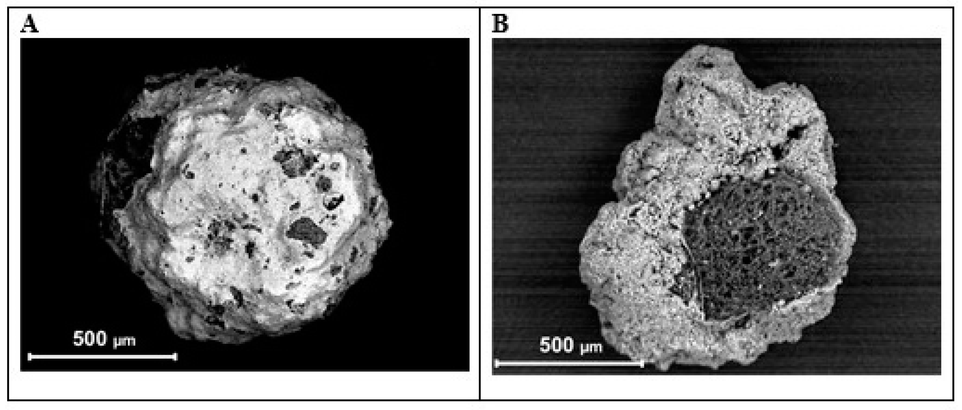 Minerals 14 00313 g002