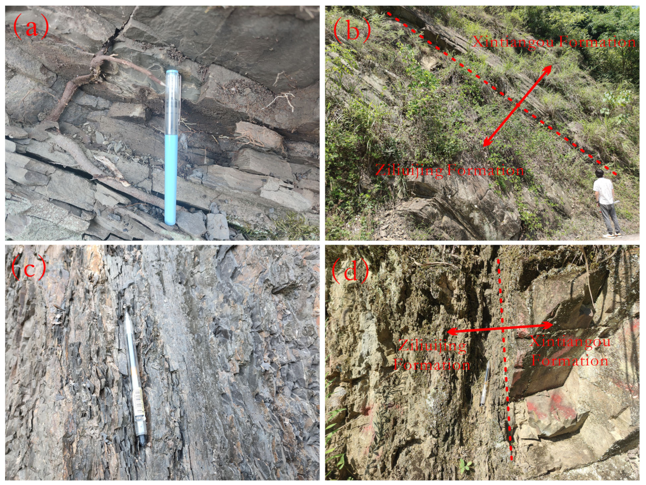 Minerals 14 00336 g002