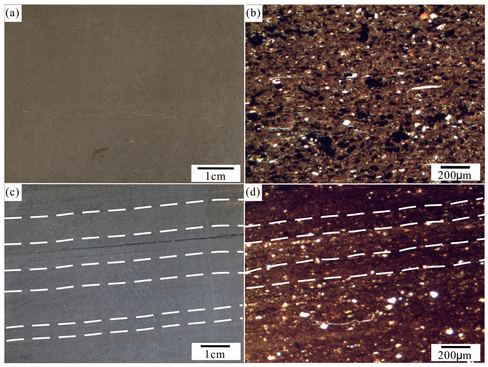 Minerals 14 00370 g005