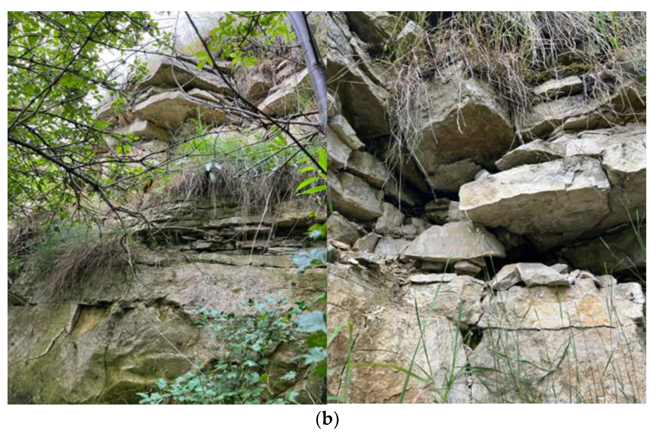 Minerals 14 00371 g001b Minerals 14 00371 g001b