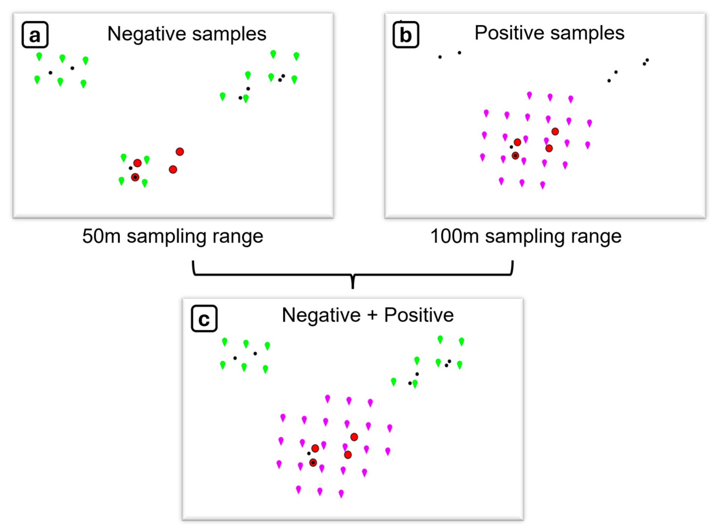 Minerals 14 00377 g004