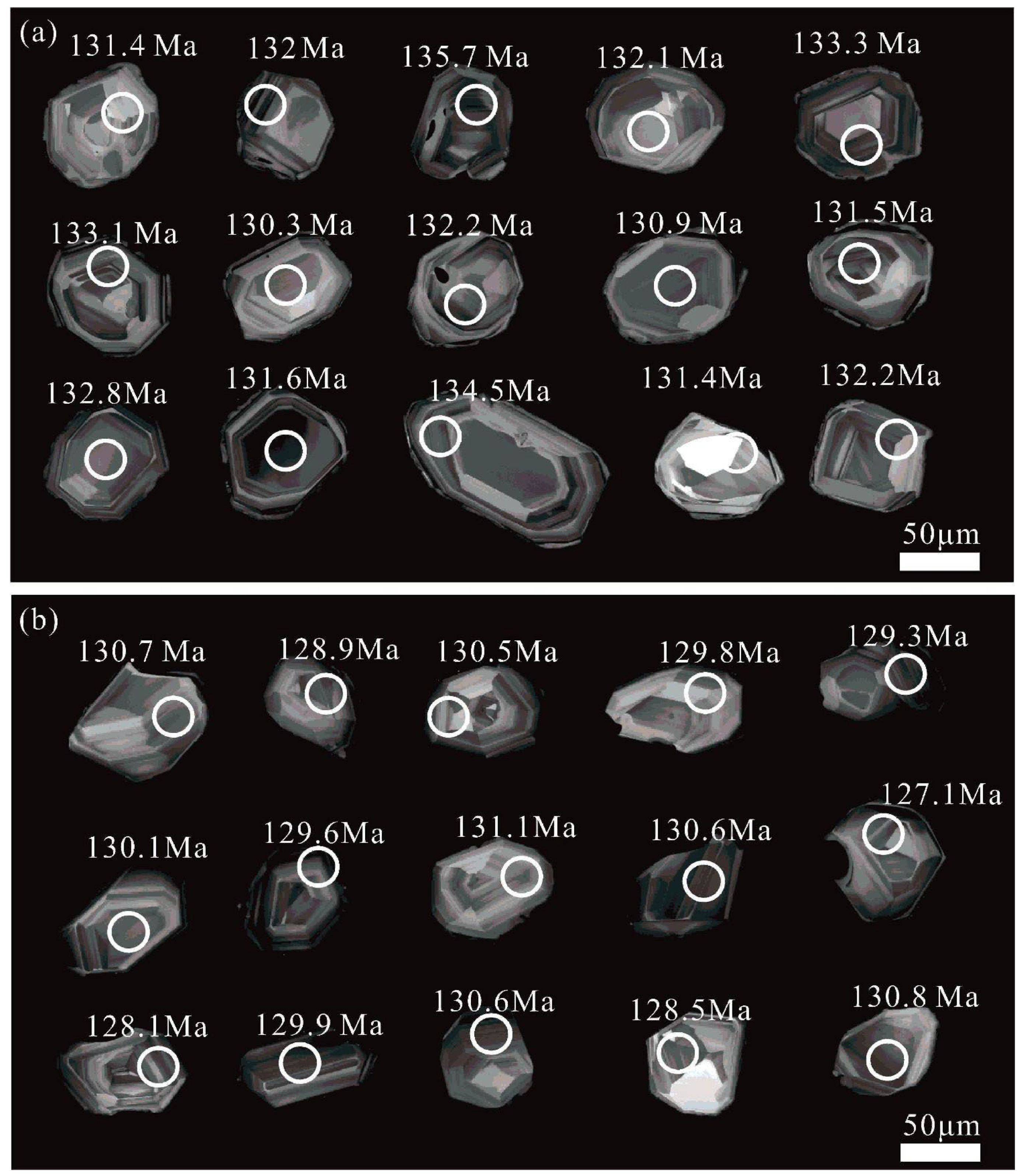 Minerals 14 00390 g010