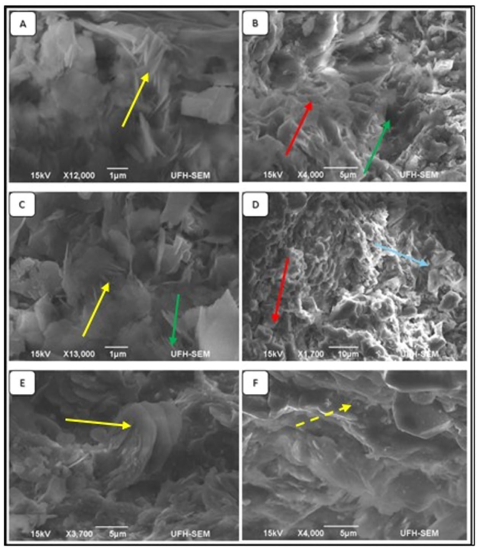 Minerals 14 00396 g012