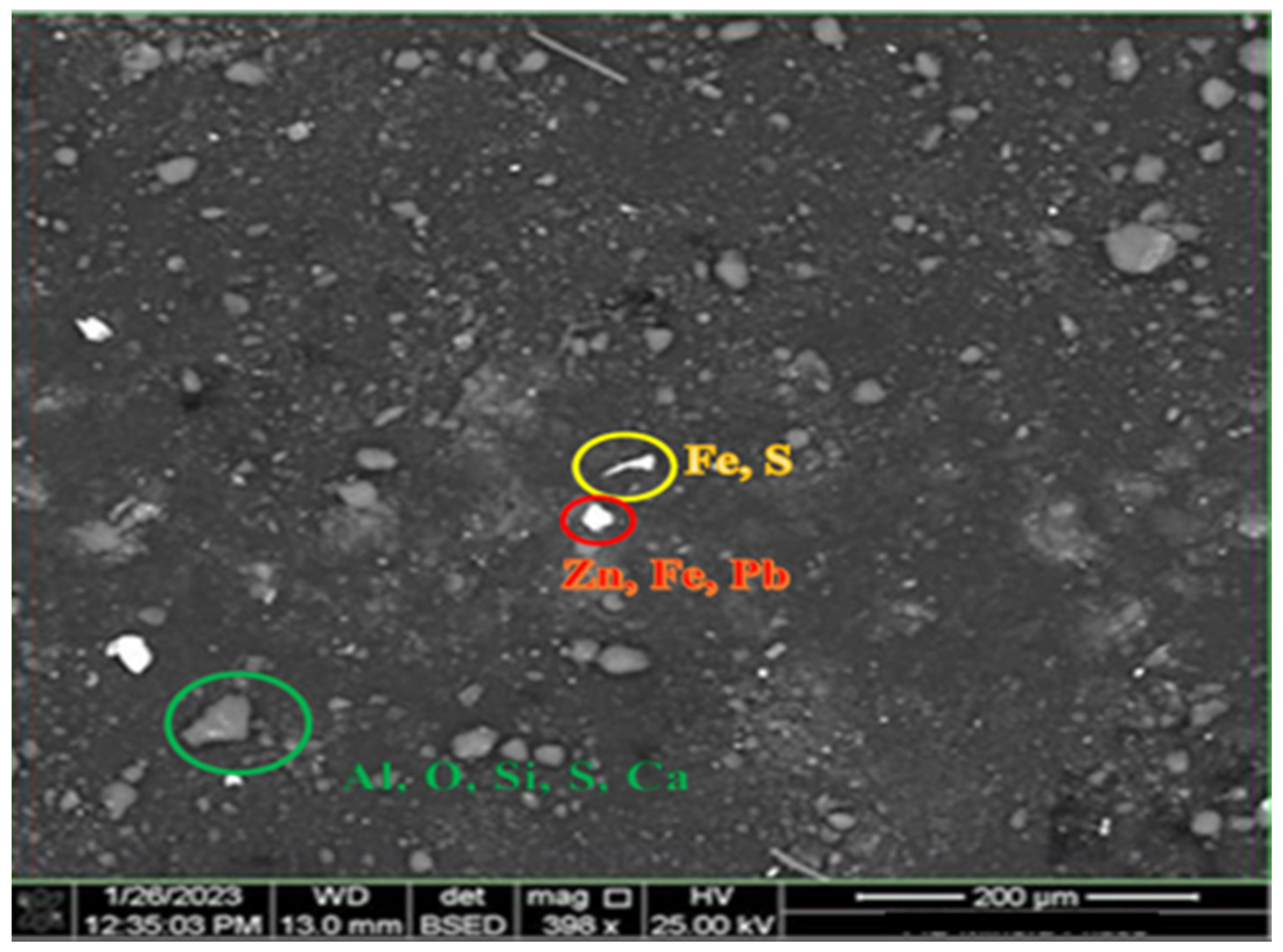Minerals 14 00412 g009