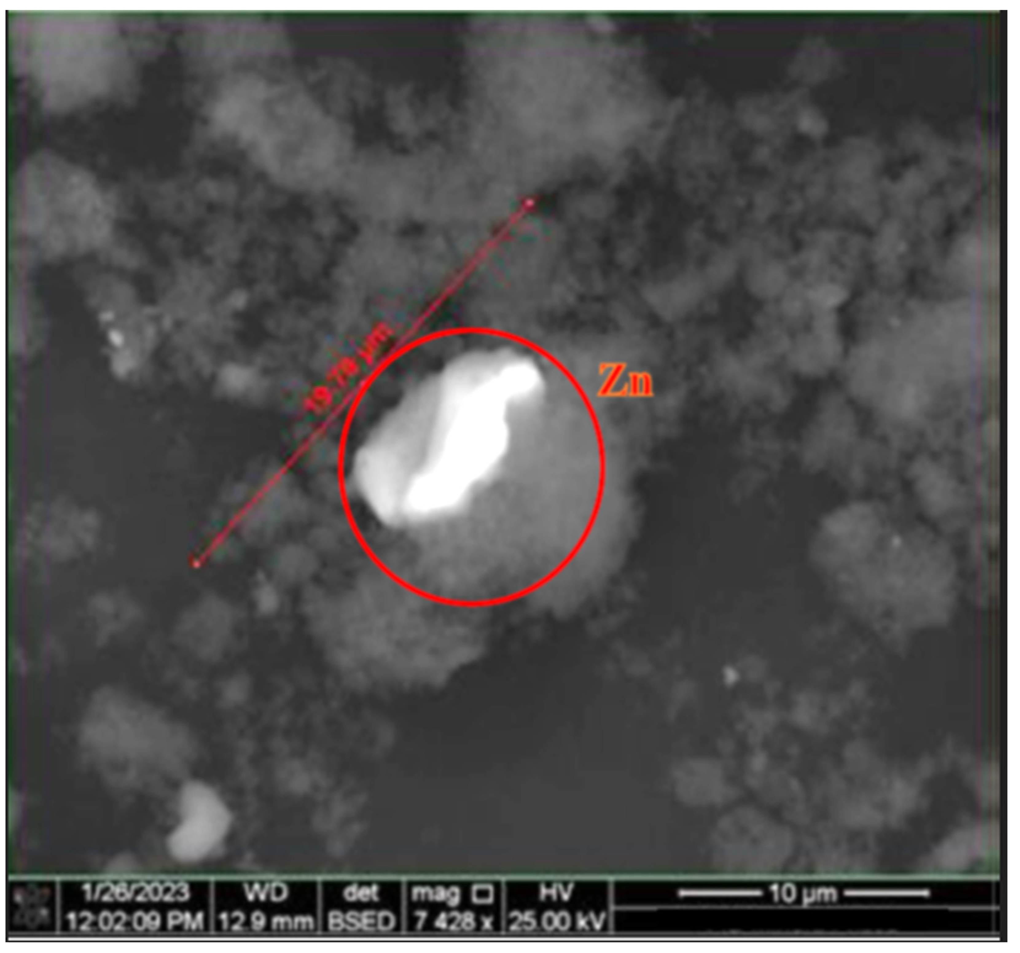 Minerals 14 00412 g010