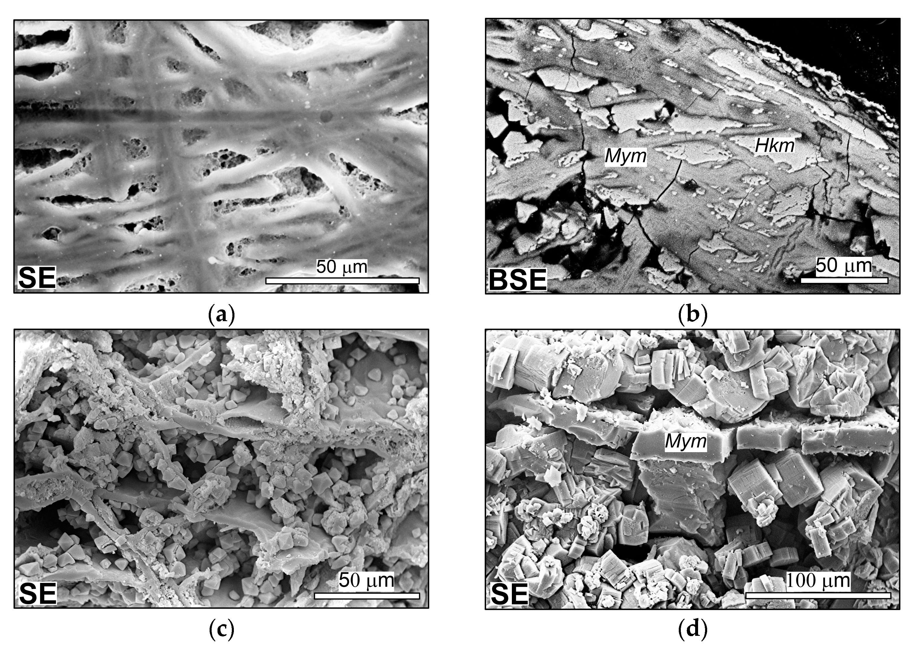 Minerals 14 00422 g003