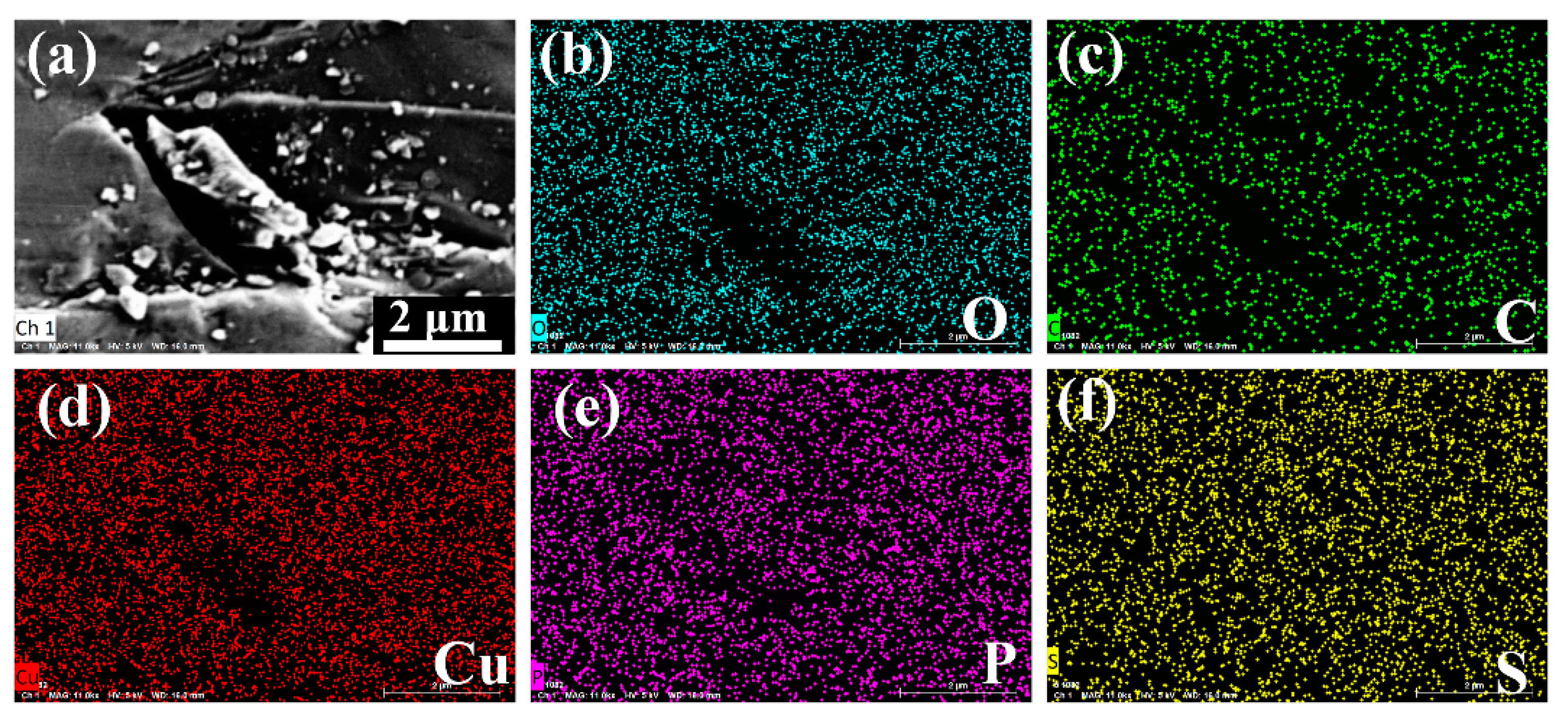 Minerals 14 00528 g010