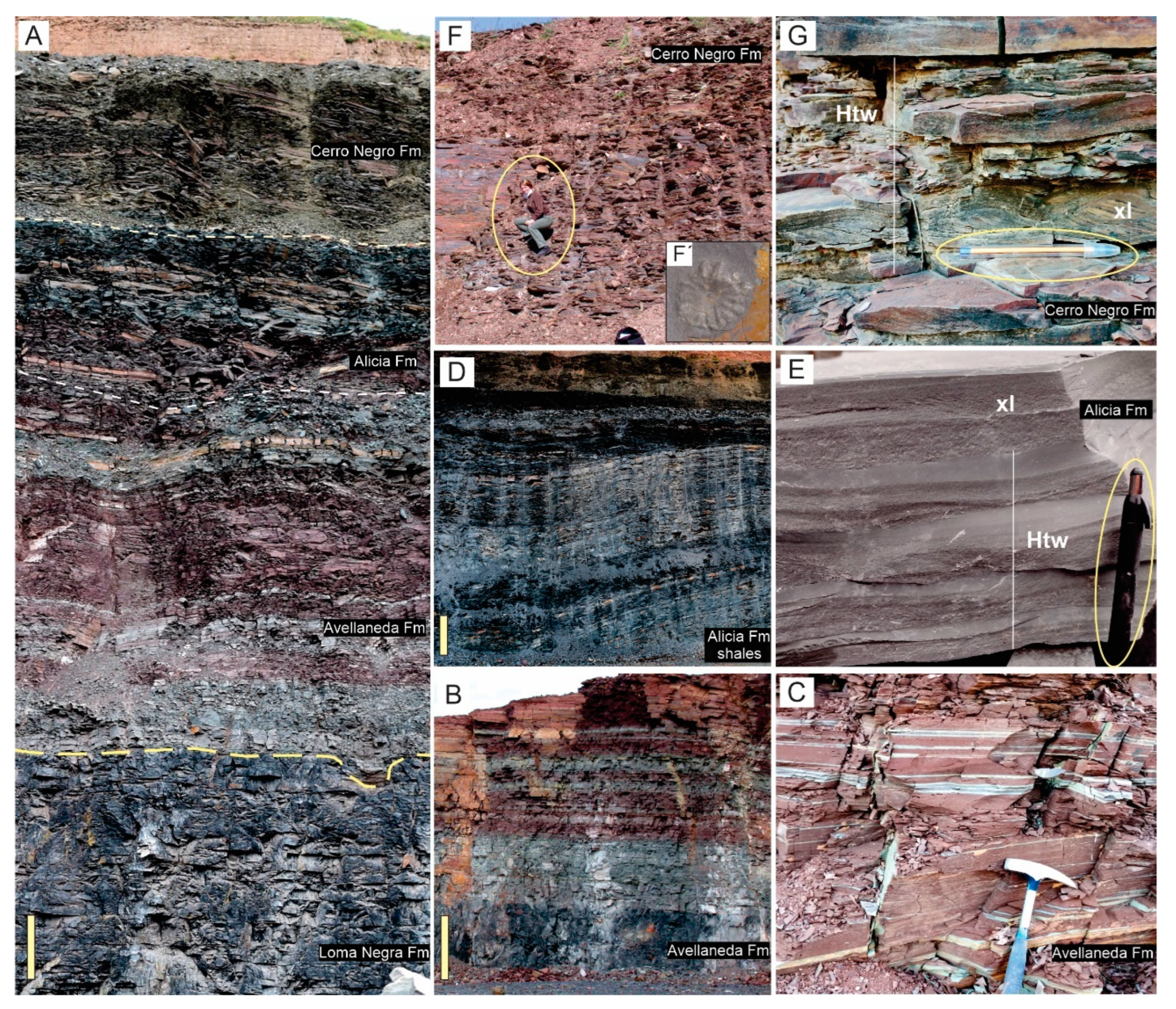 Minerals 14 00529 g007 Minerals 14 00529 g007