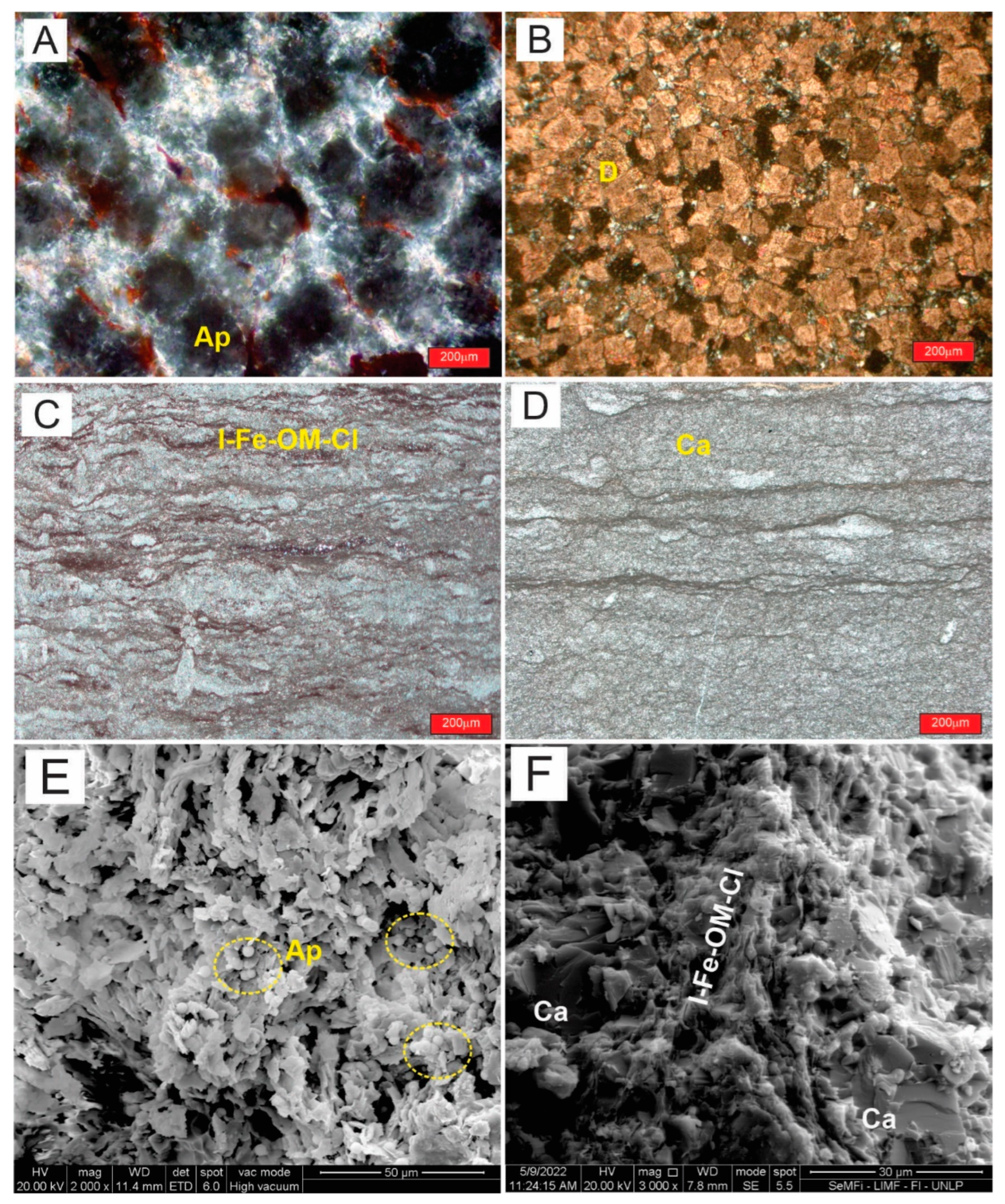 Minerals 14 00529 g011 Minerals 14 00529 g011