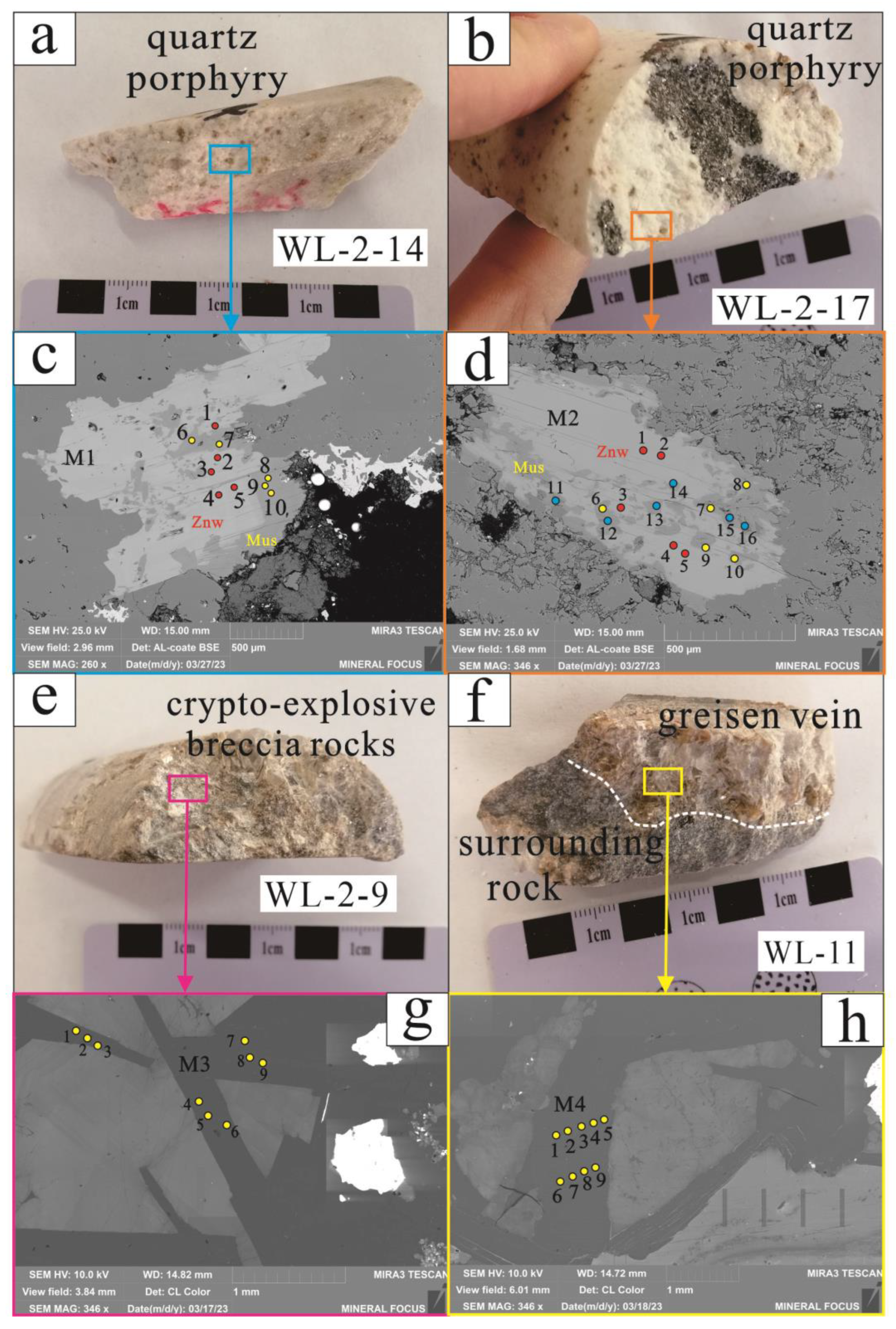 Minerals 14 00575 g006