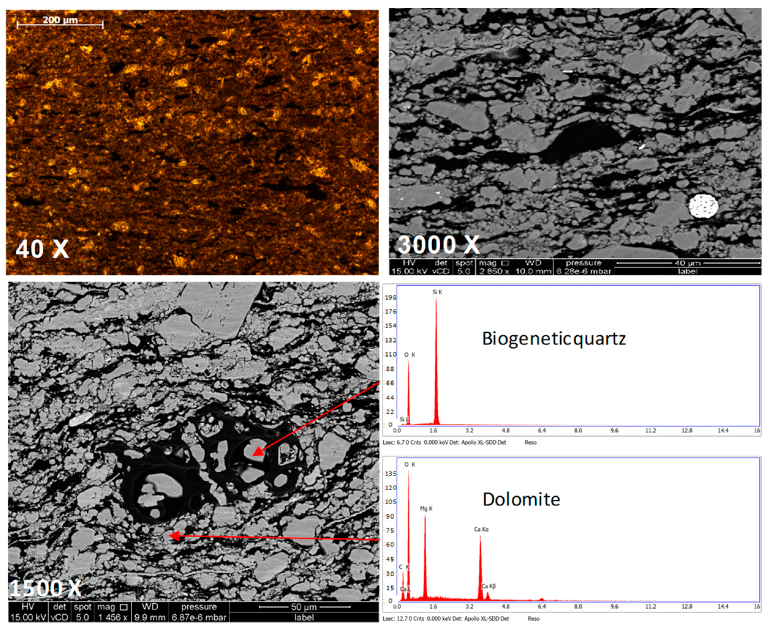 Minerals 14 00635 g011