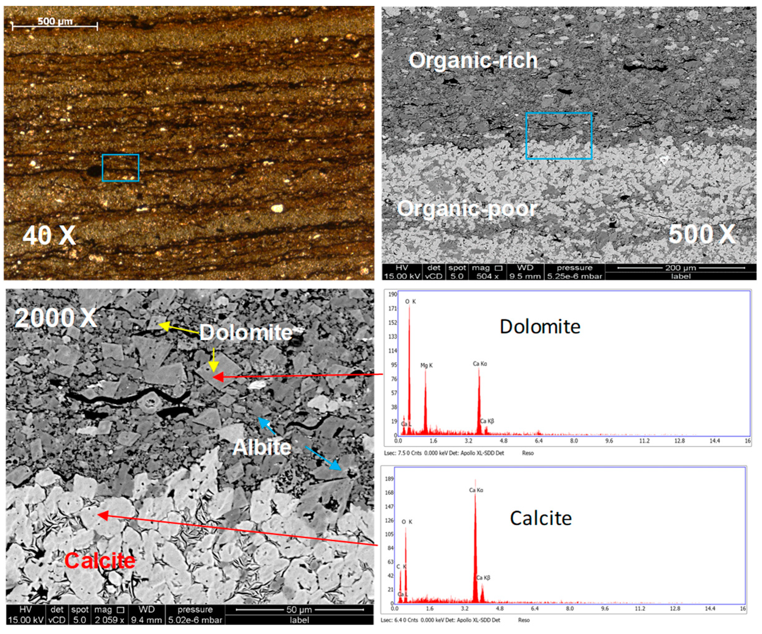 Minerals 14 00635 g012