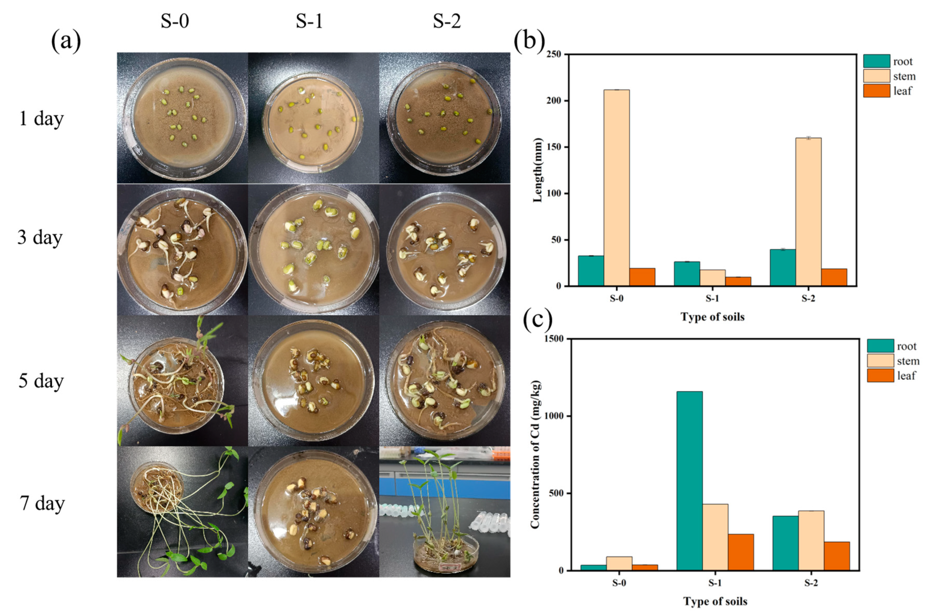 Minerals 14 00656 g007
