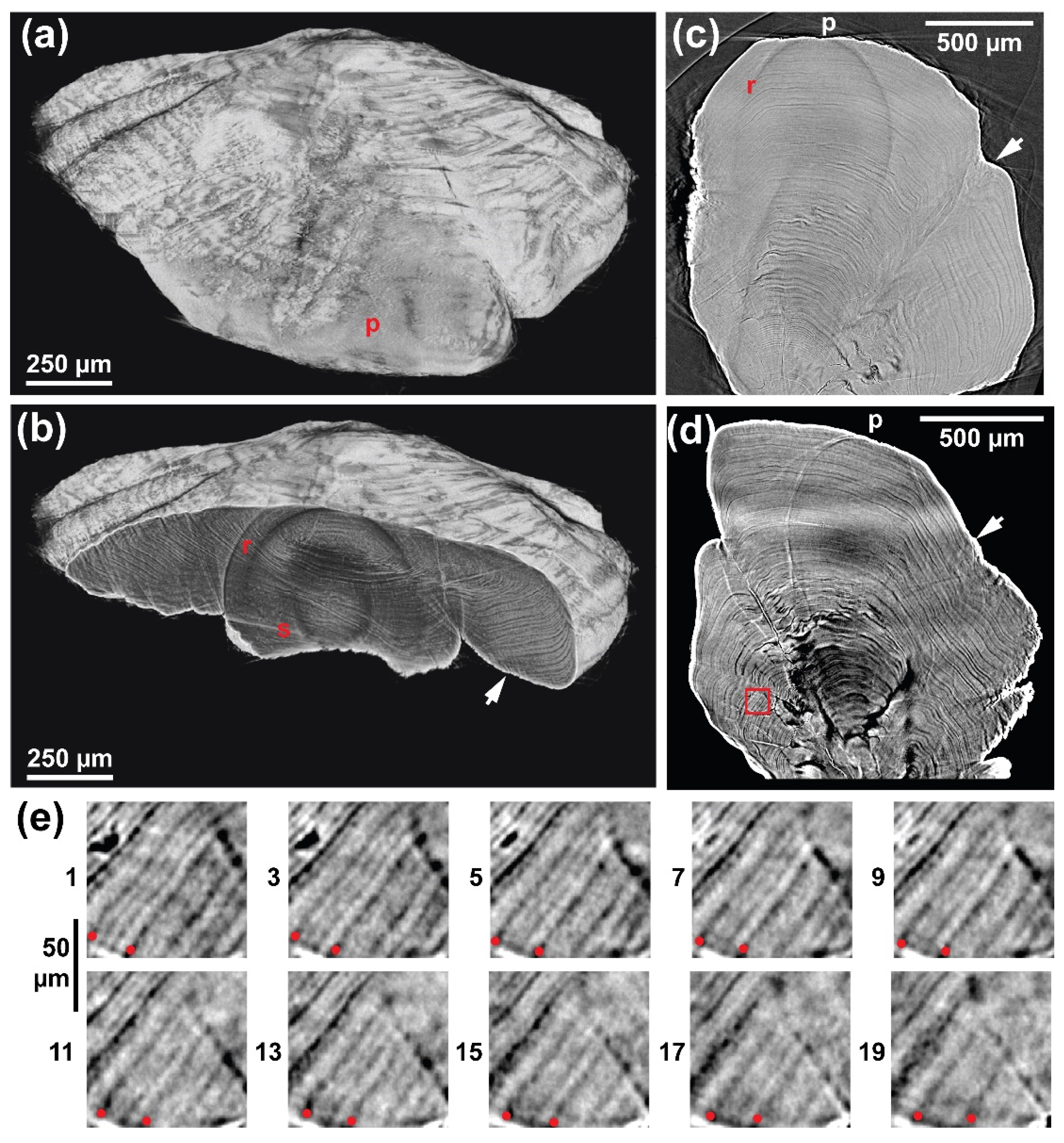 Minerals 14 00705 g008