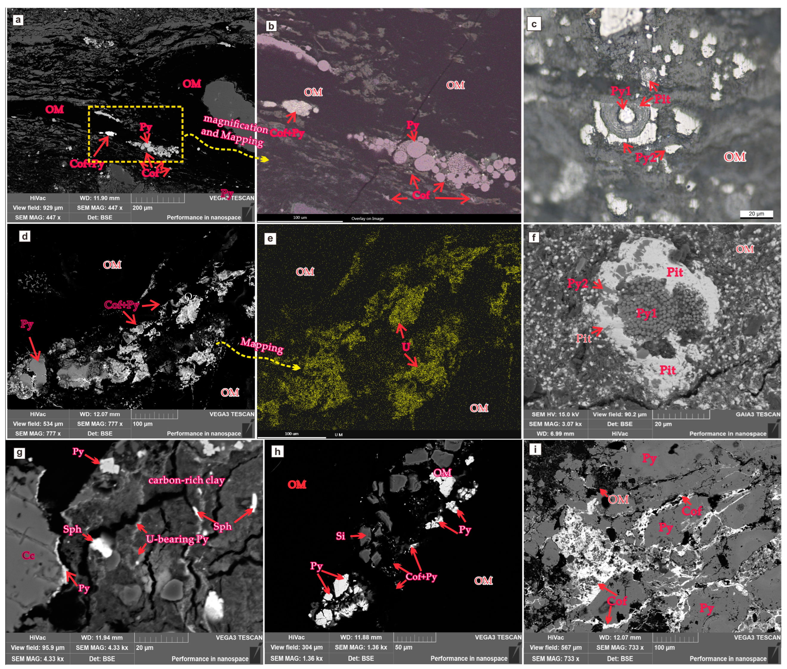 Minerals 14 00709 g005