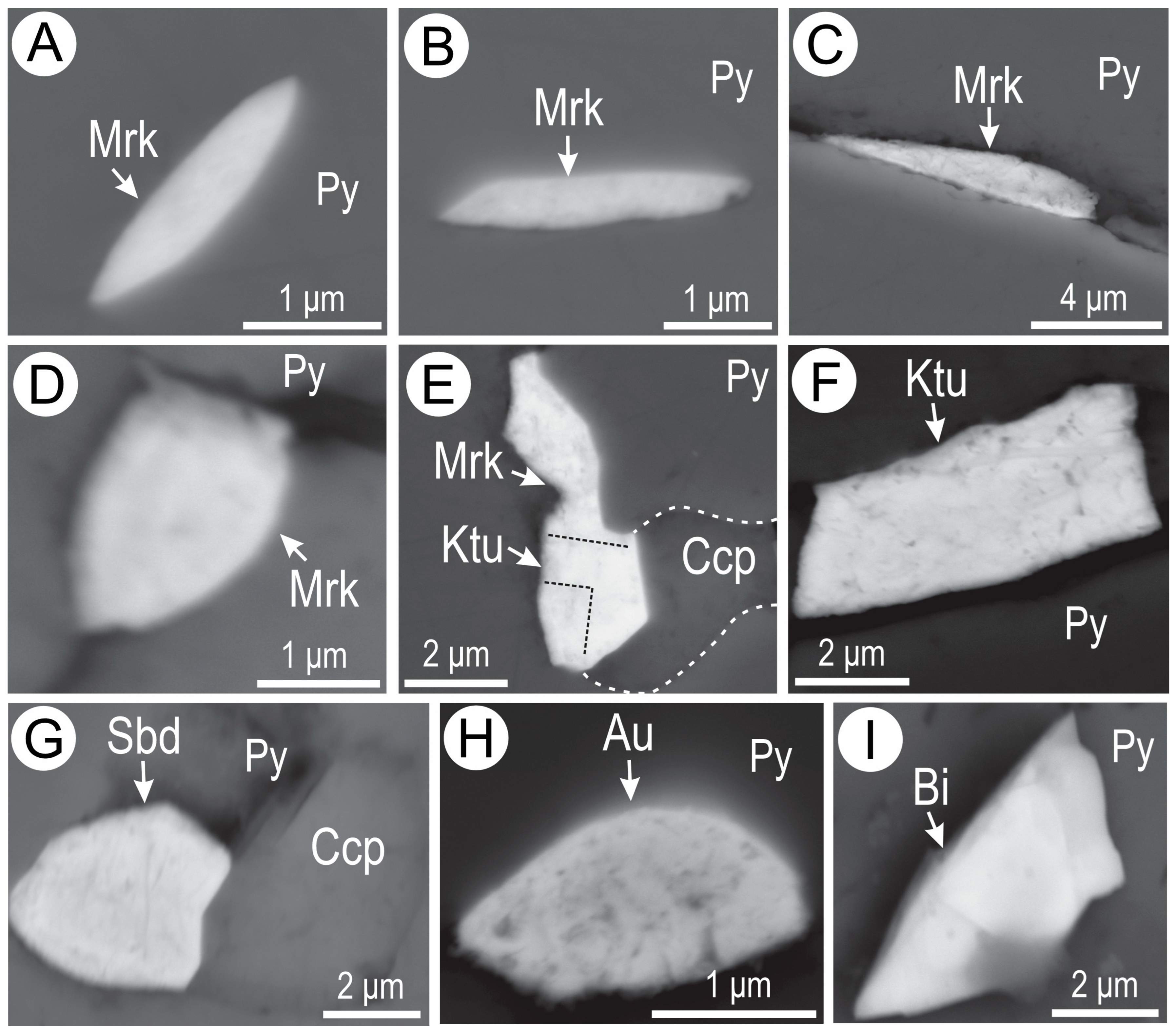 Minerals 14 00757 g006 Minerals 14 00757 g006
