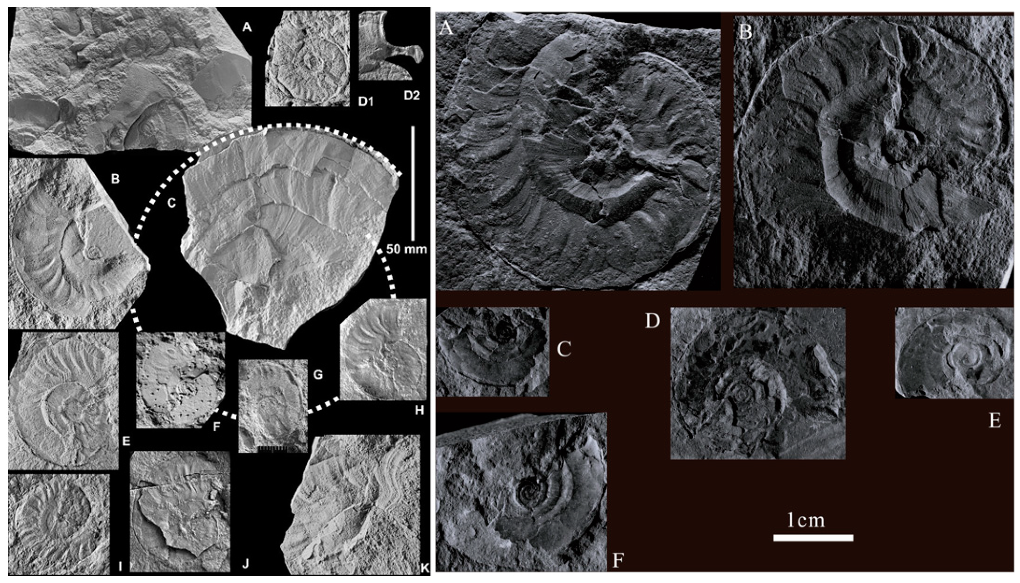 Minerals 14 00777 g001