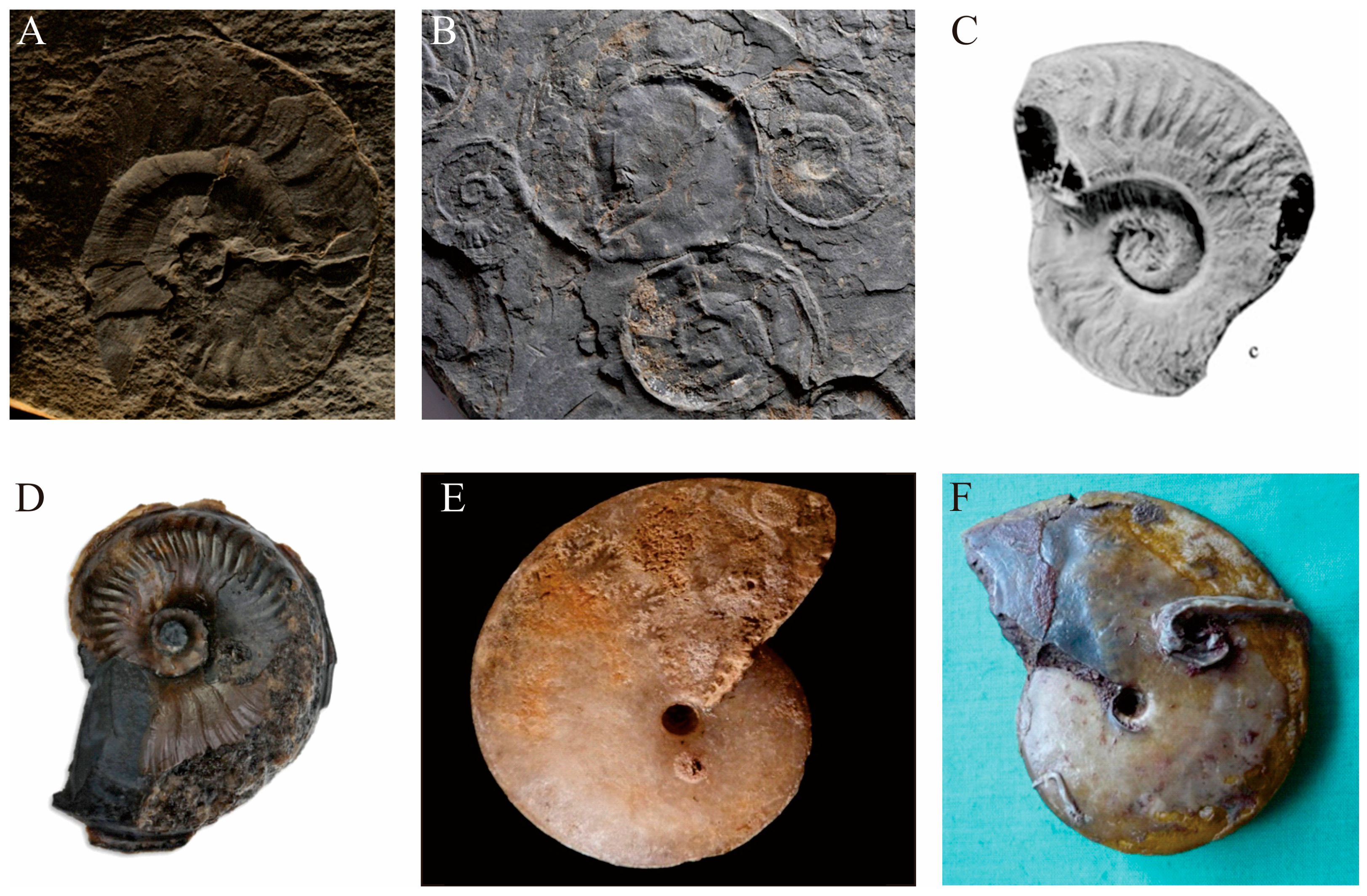 Minerals 14 00789 g001