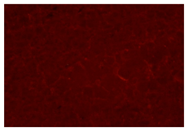 Minerals 14 00797 i024