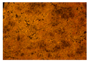 Minerals 14 00797 i040