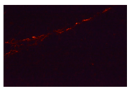 Minerals 14 00797 i044