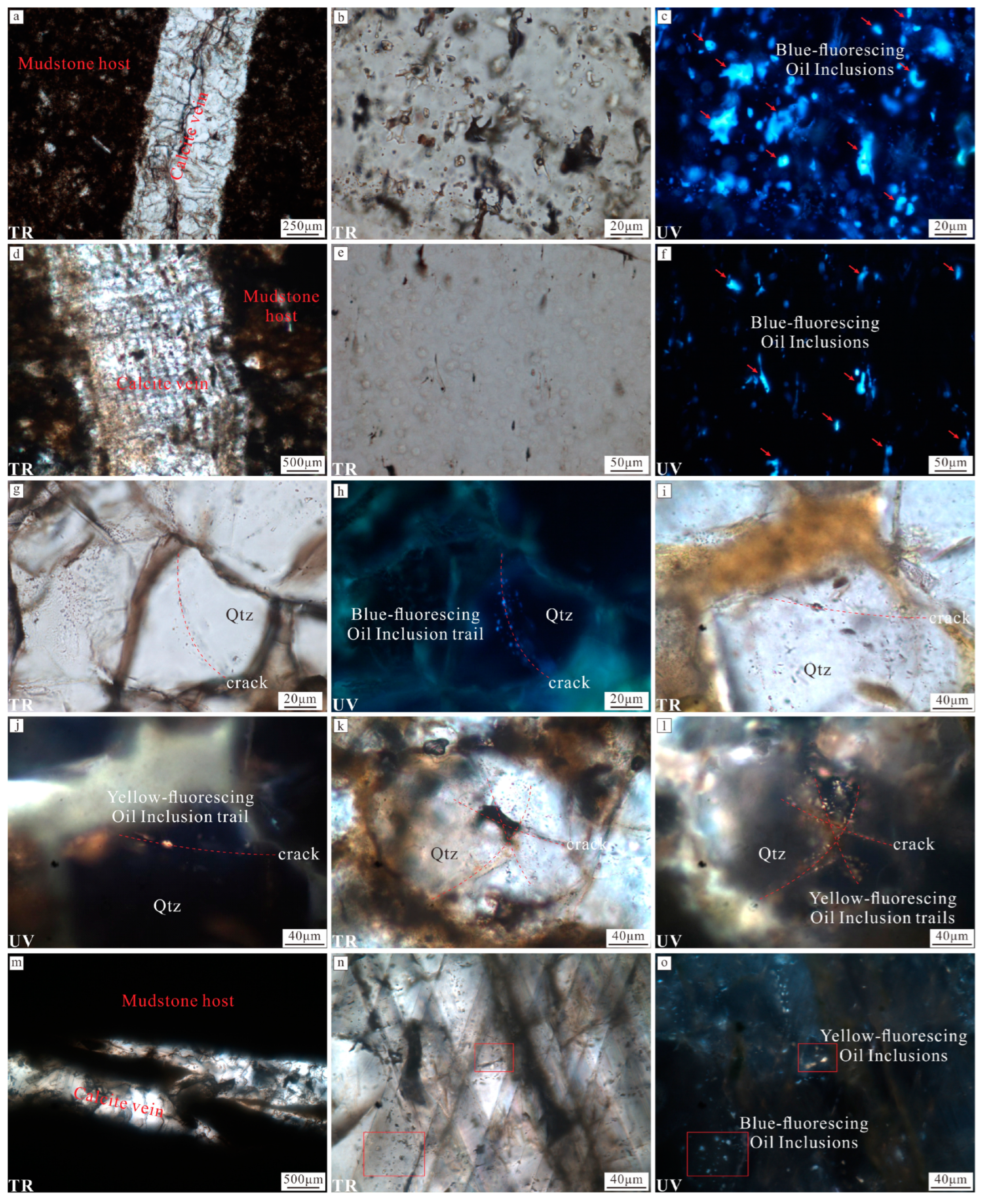 Minerals 14 00821 g003 Minerals 14 00821 g003