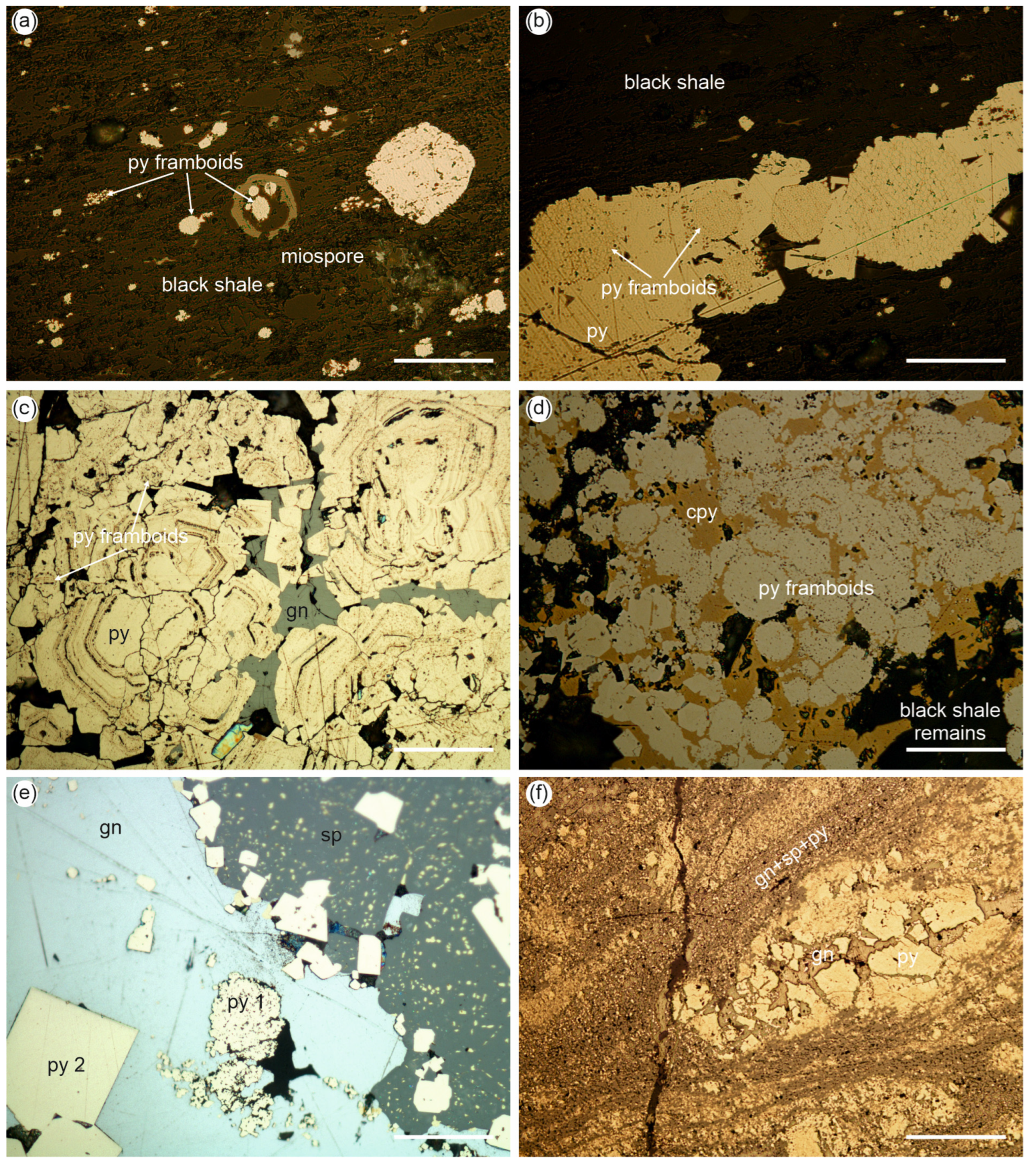 Minerals 14 00860 g008