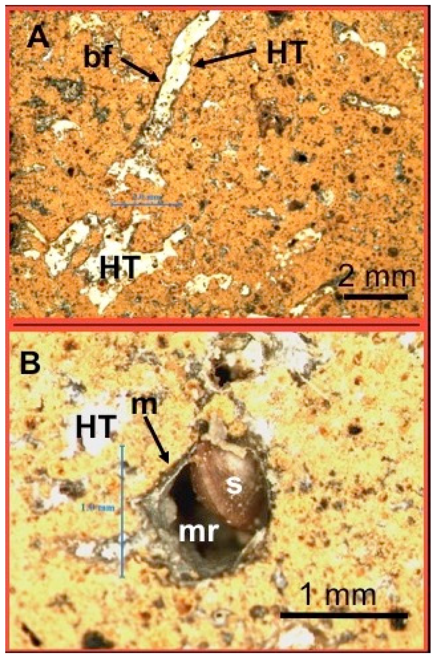 Minerals 14 00877 g006
