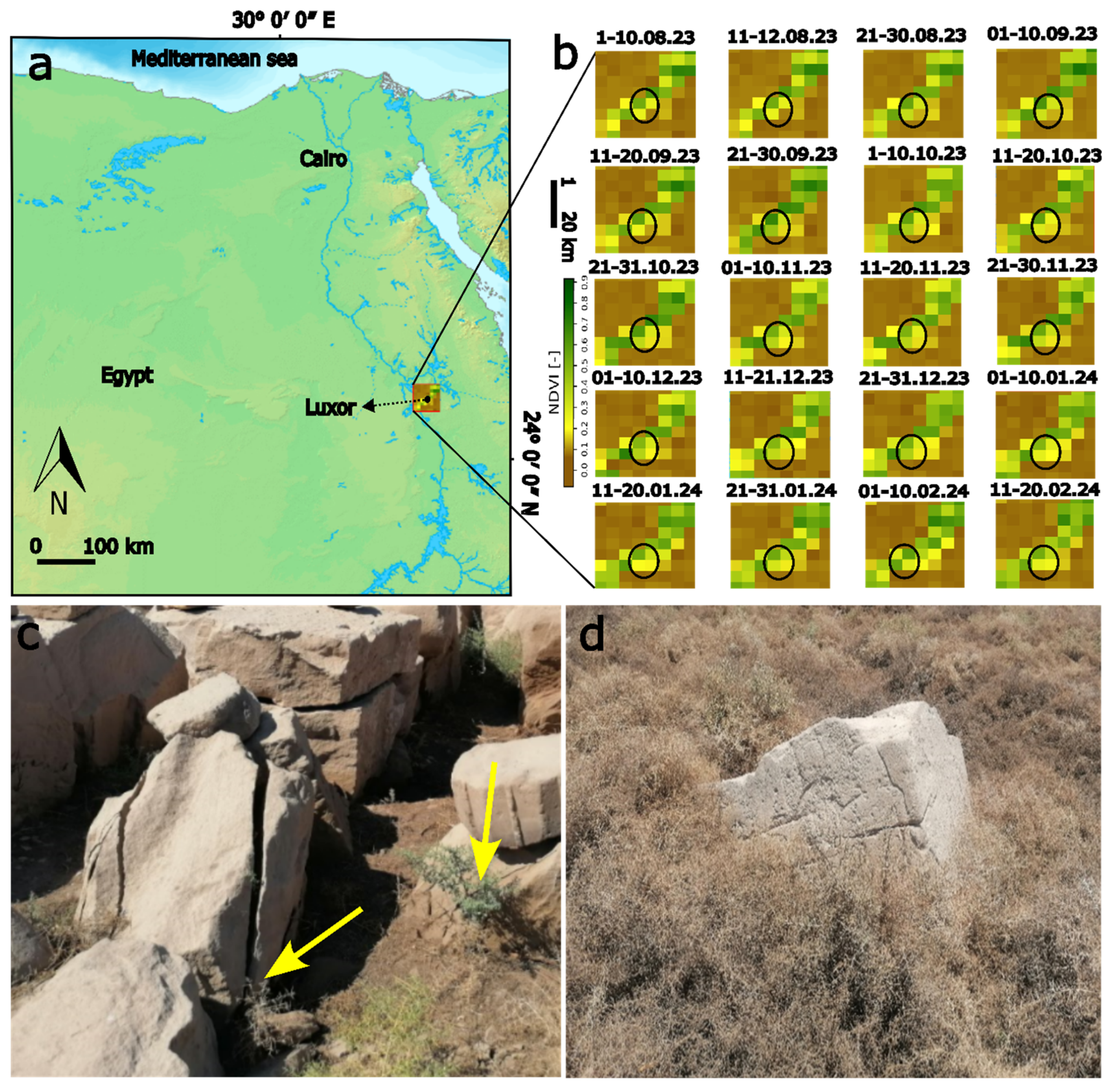Minerals 14 00890 g012 Minerals 14 00890 g012