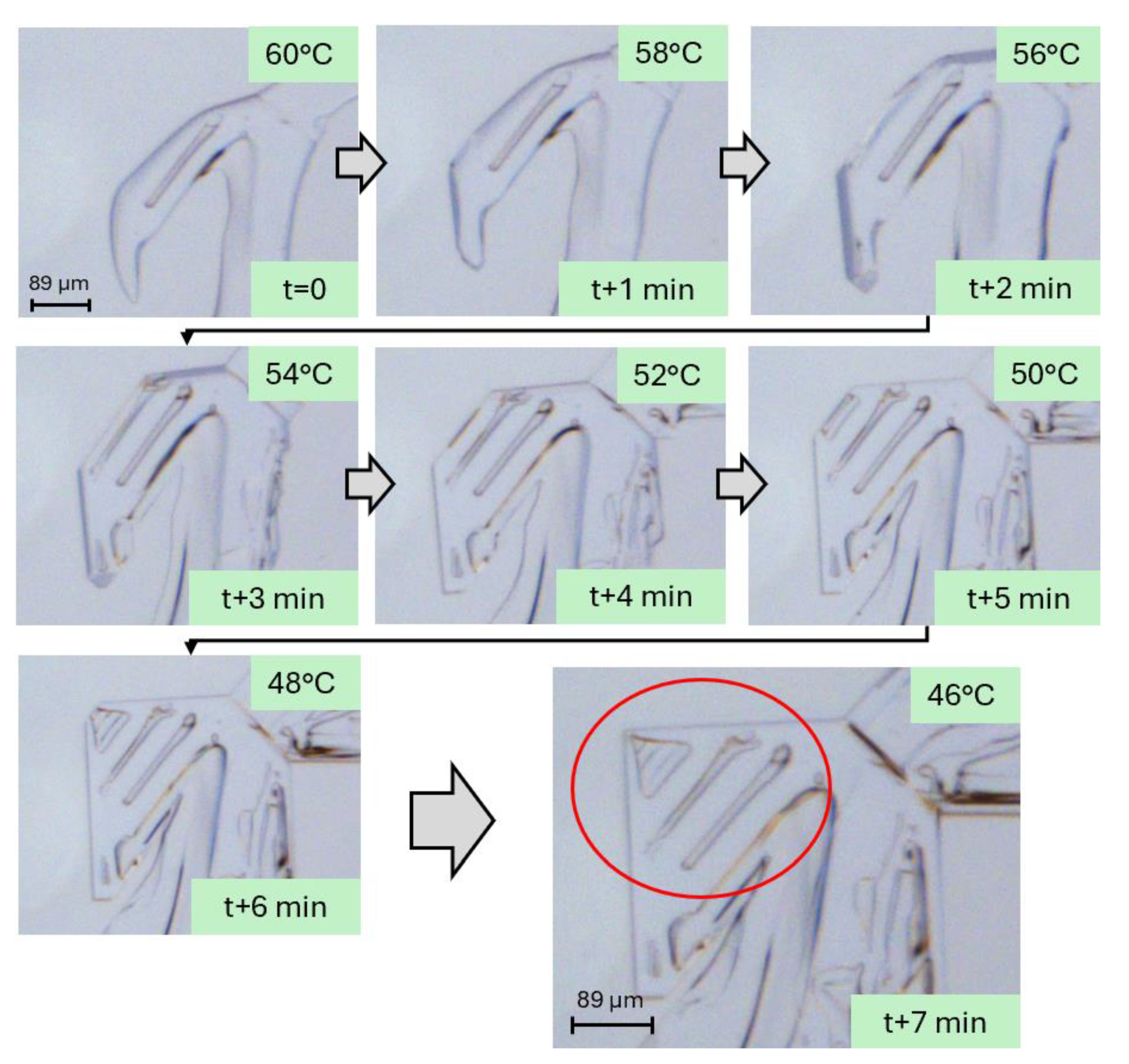 Minerals 14 00898 g005