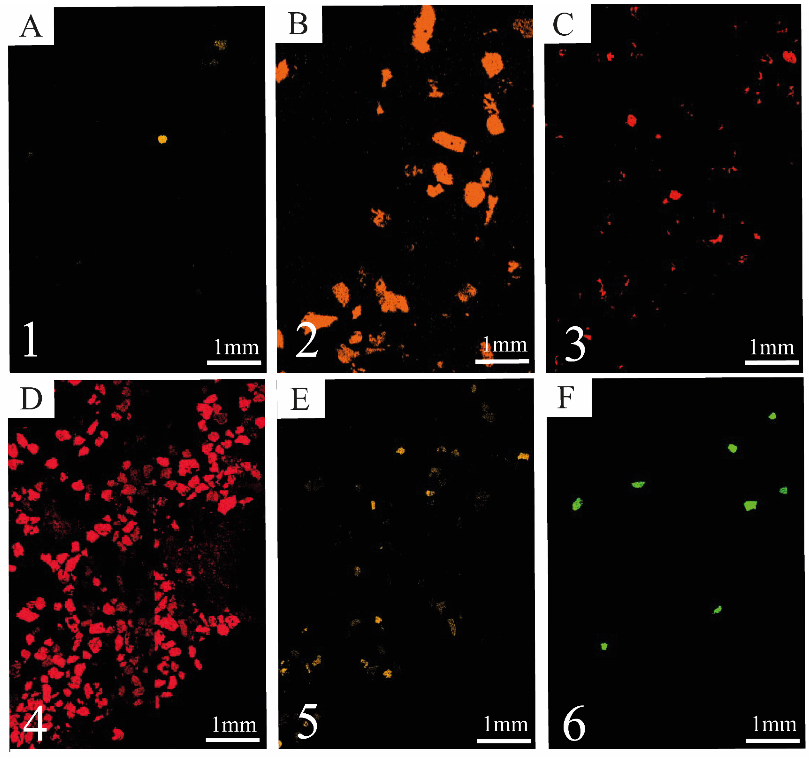 Minerals 14 00950 g006 Minerals 14 00950 g006