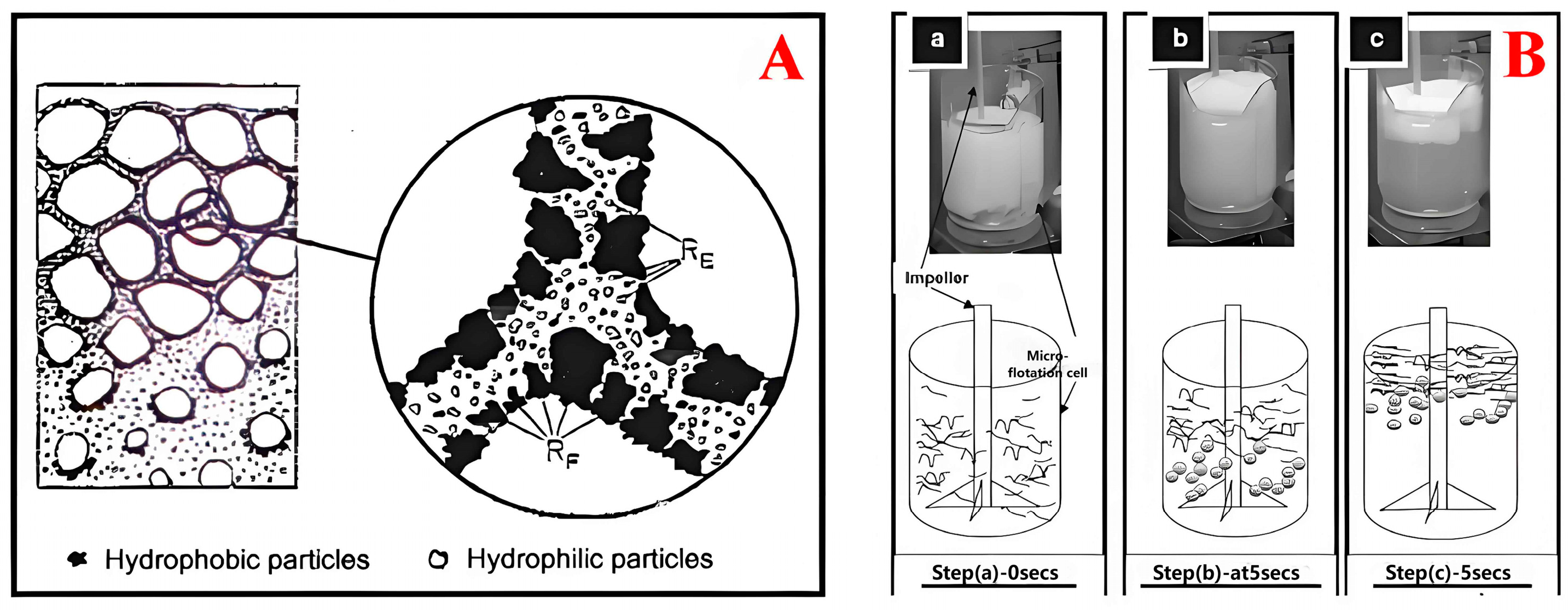 Minerals 14 00965 g004