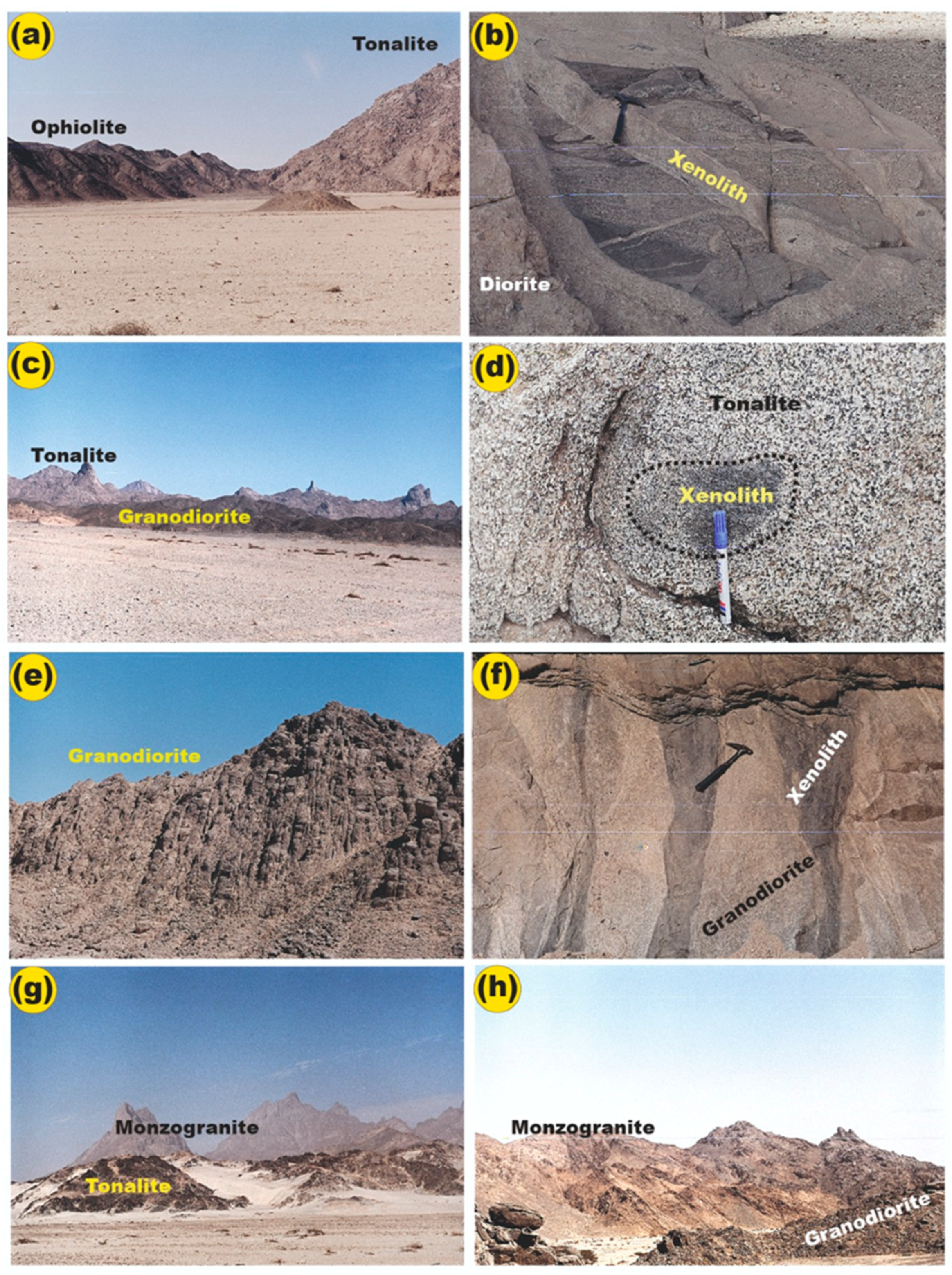 Minerals 14 01002 g002