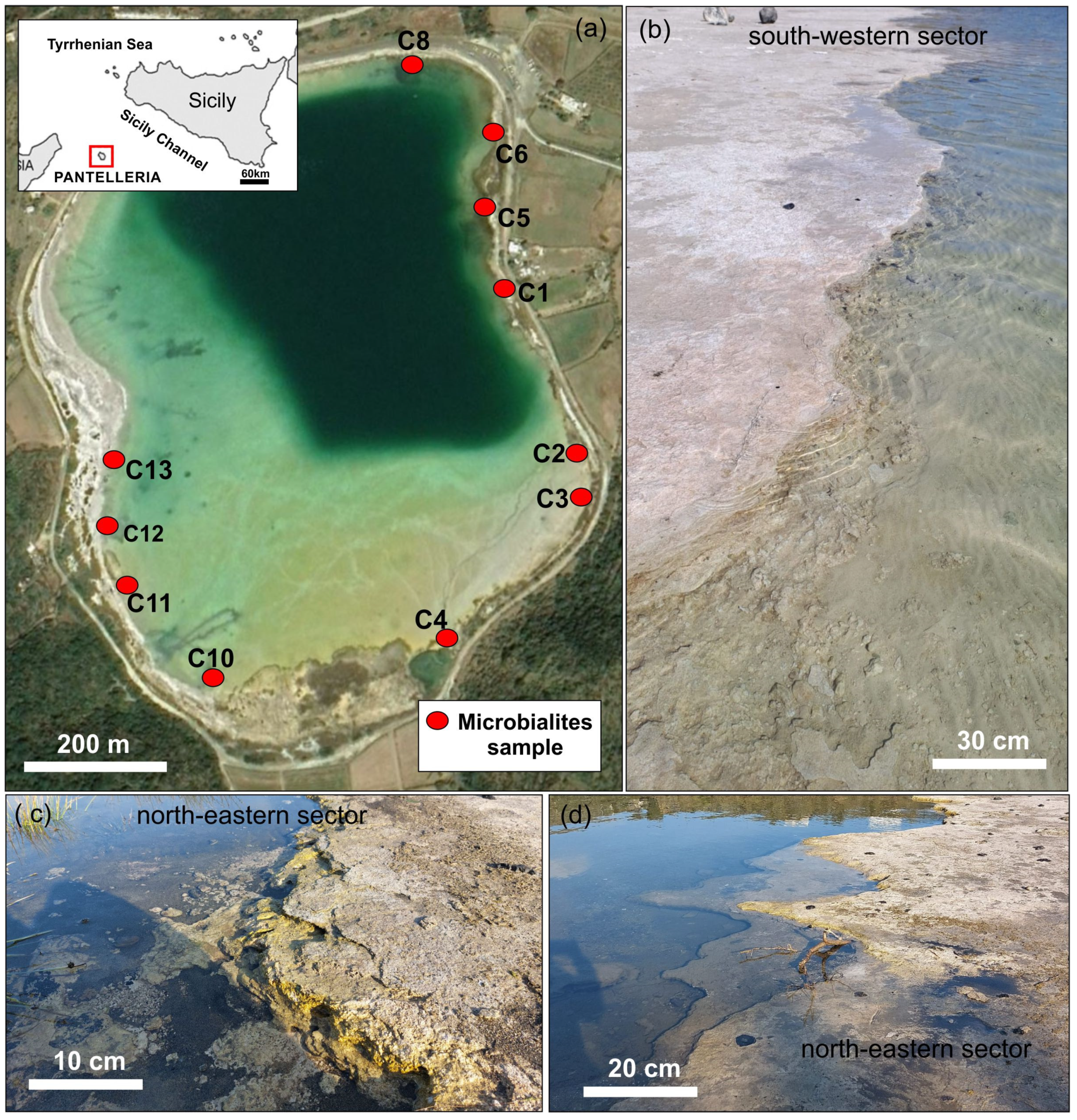 Minerals 14 01013 g001
