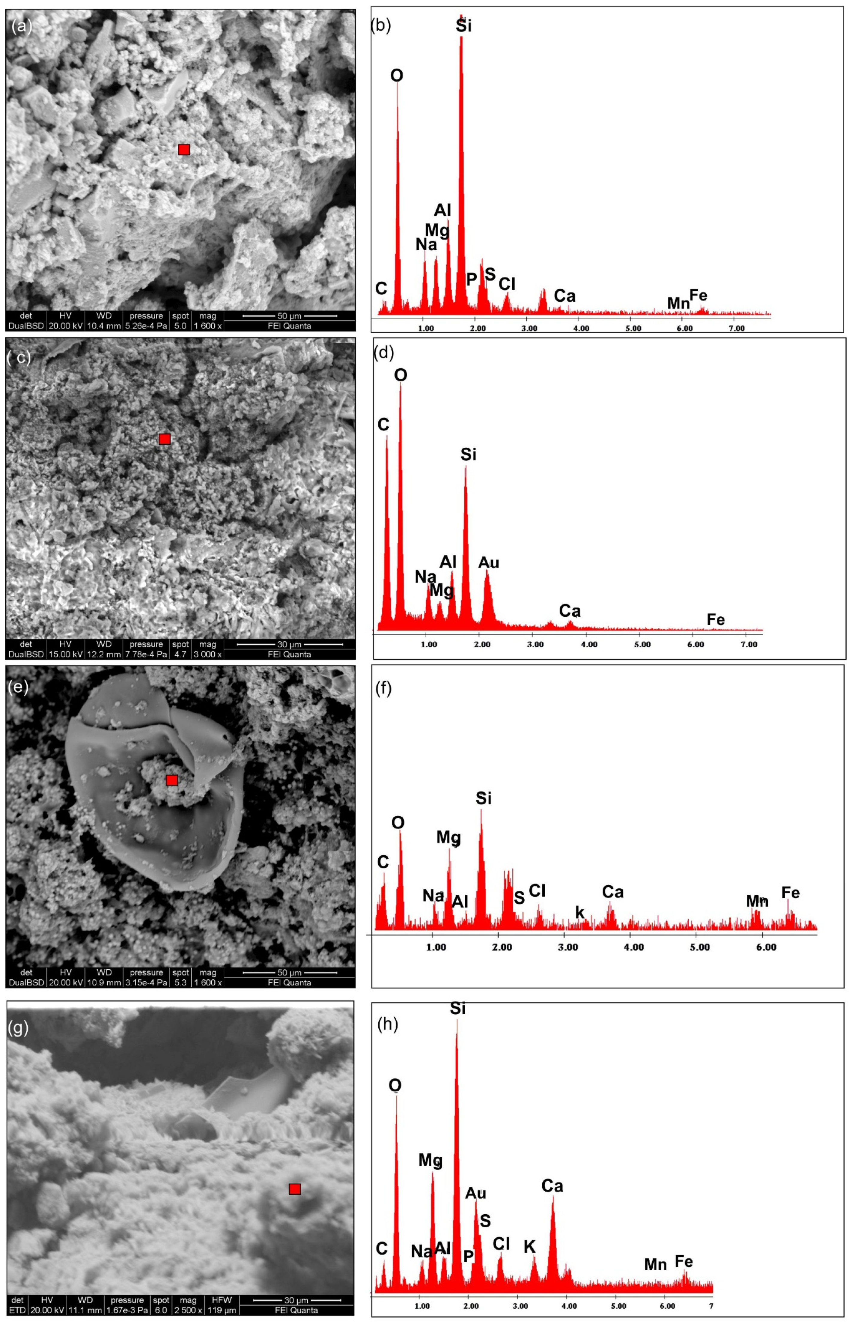 Minerals 14 01013 g004