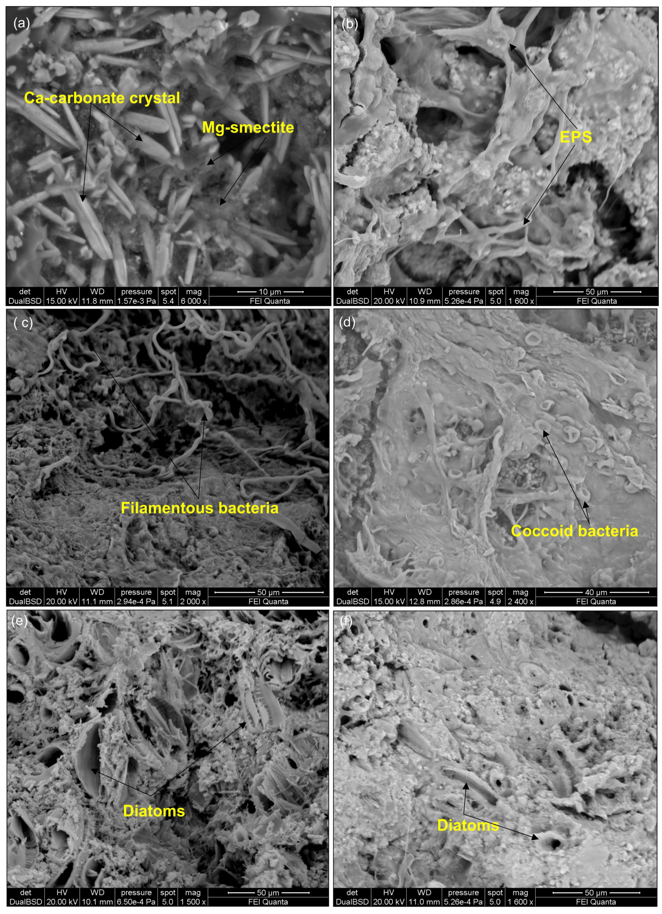 Minerals 14 01013 g007