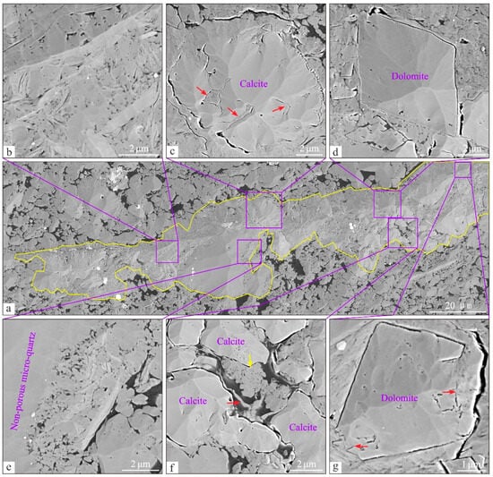Minerals 14 01020 g008