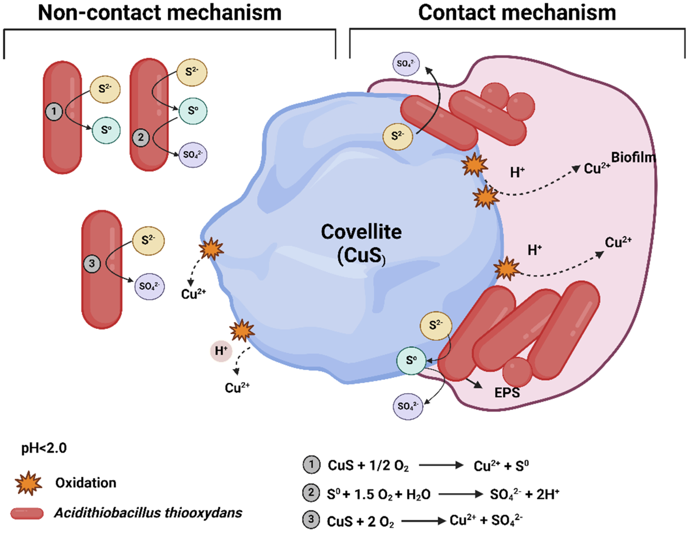 Minerals 14 01093 g003