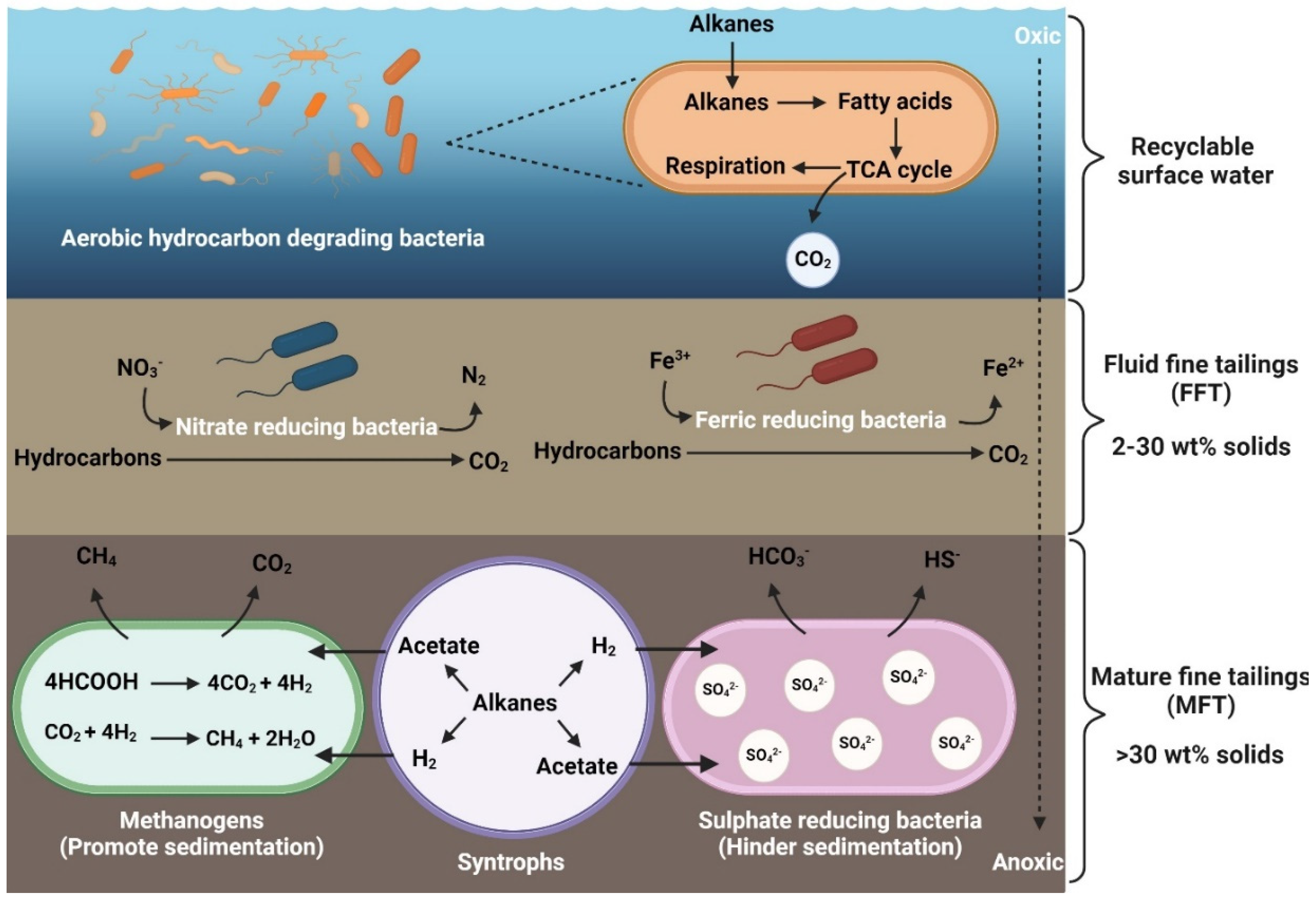 Minerals 14 01093 g004
