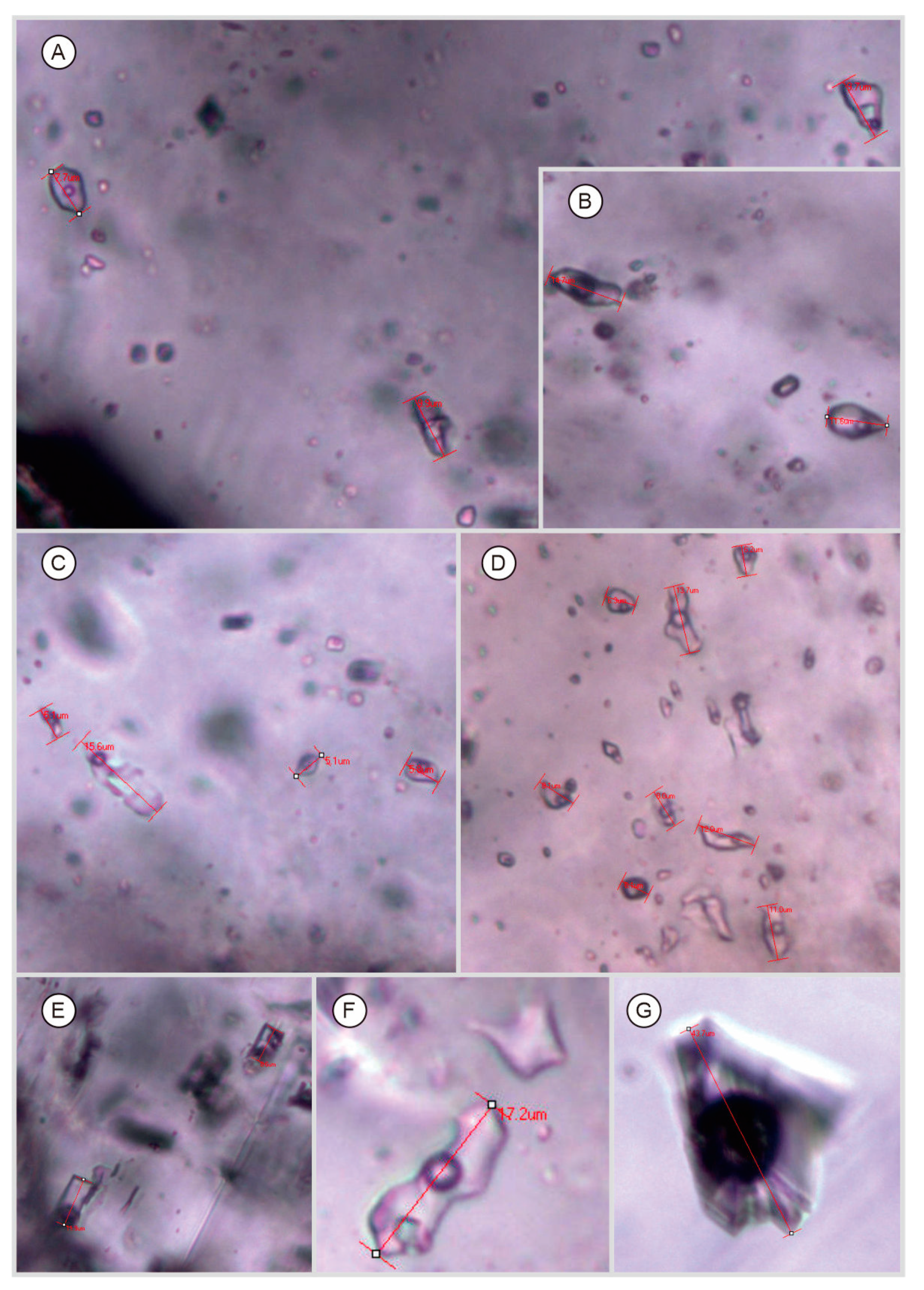 Minerals 14 01119 g009