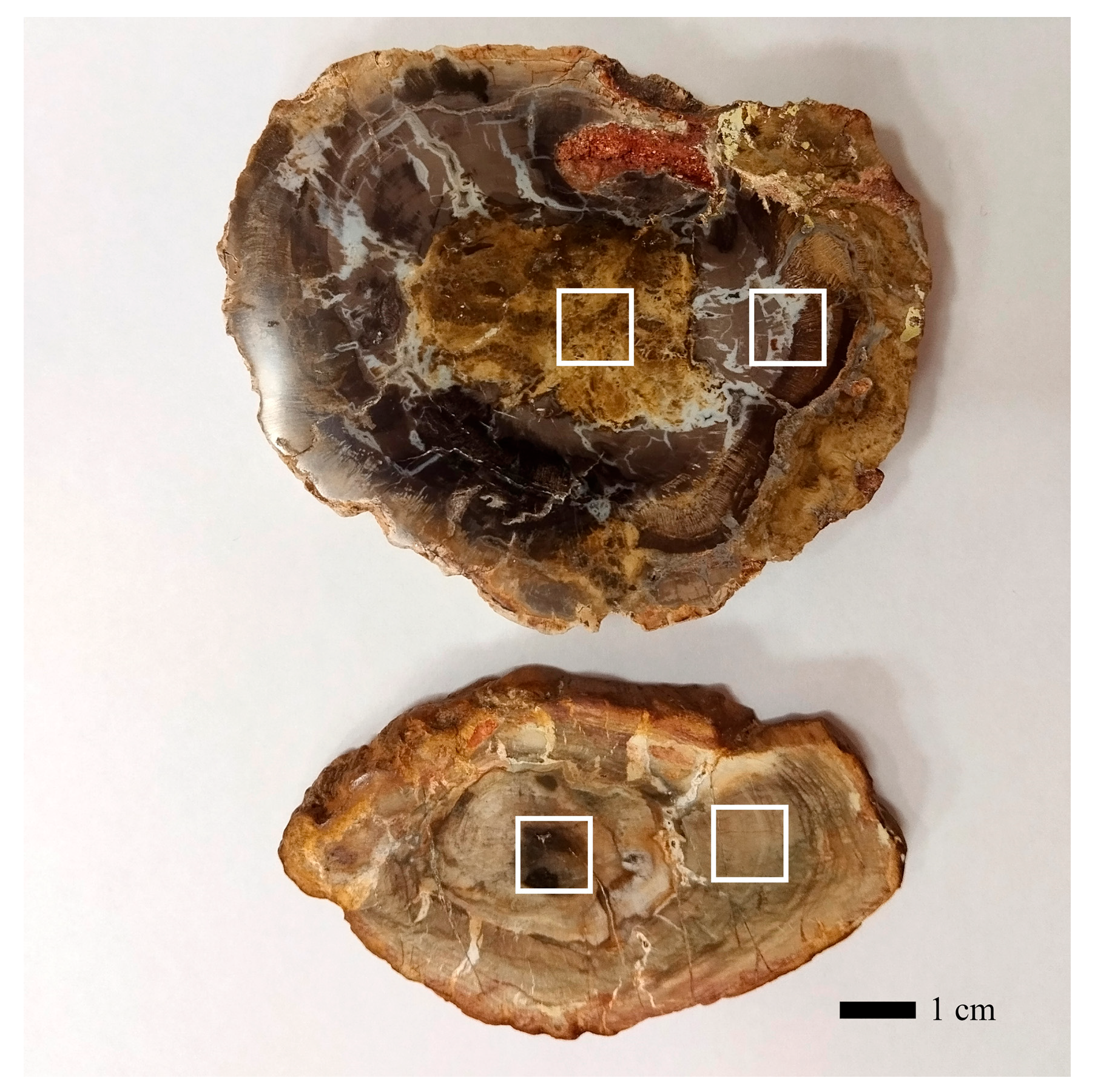 Minerals 14 01128 g001
