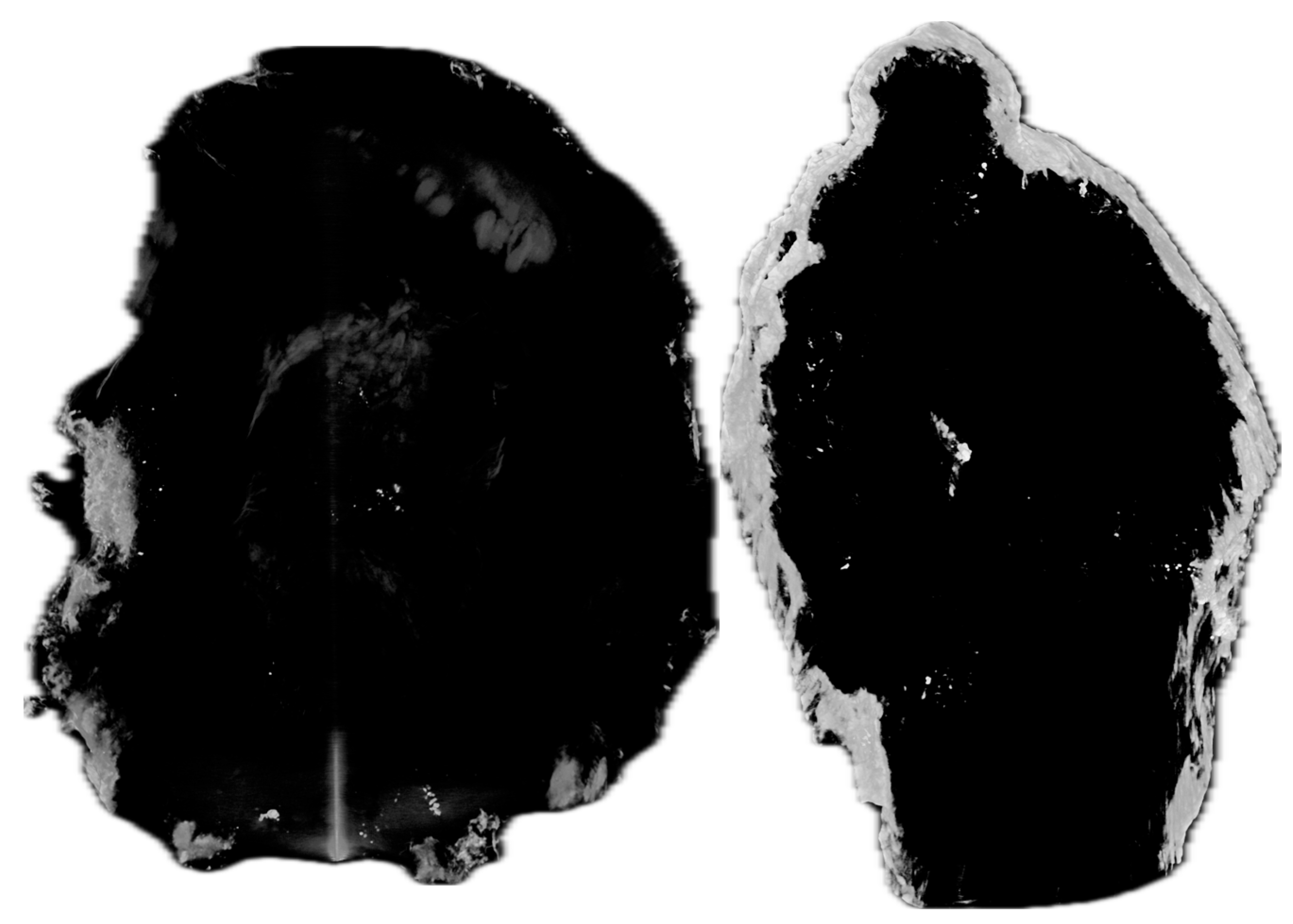 Minerals 14 01128 g007