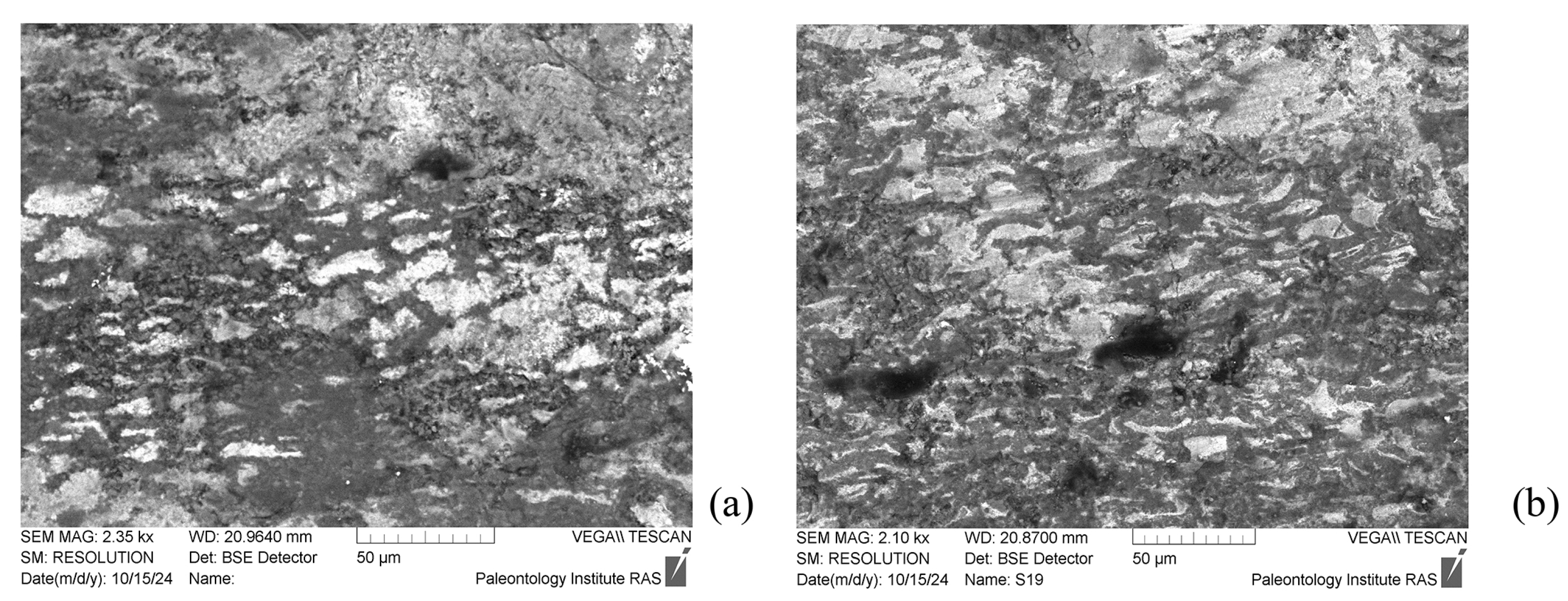 Minerals 14 01128 g011