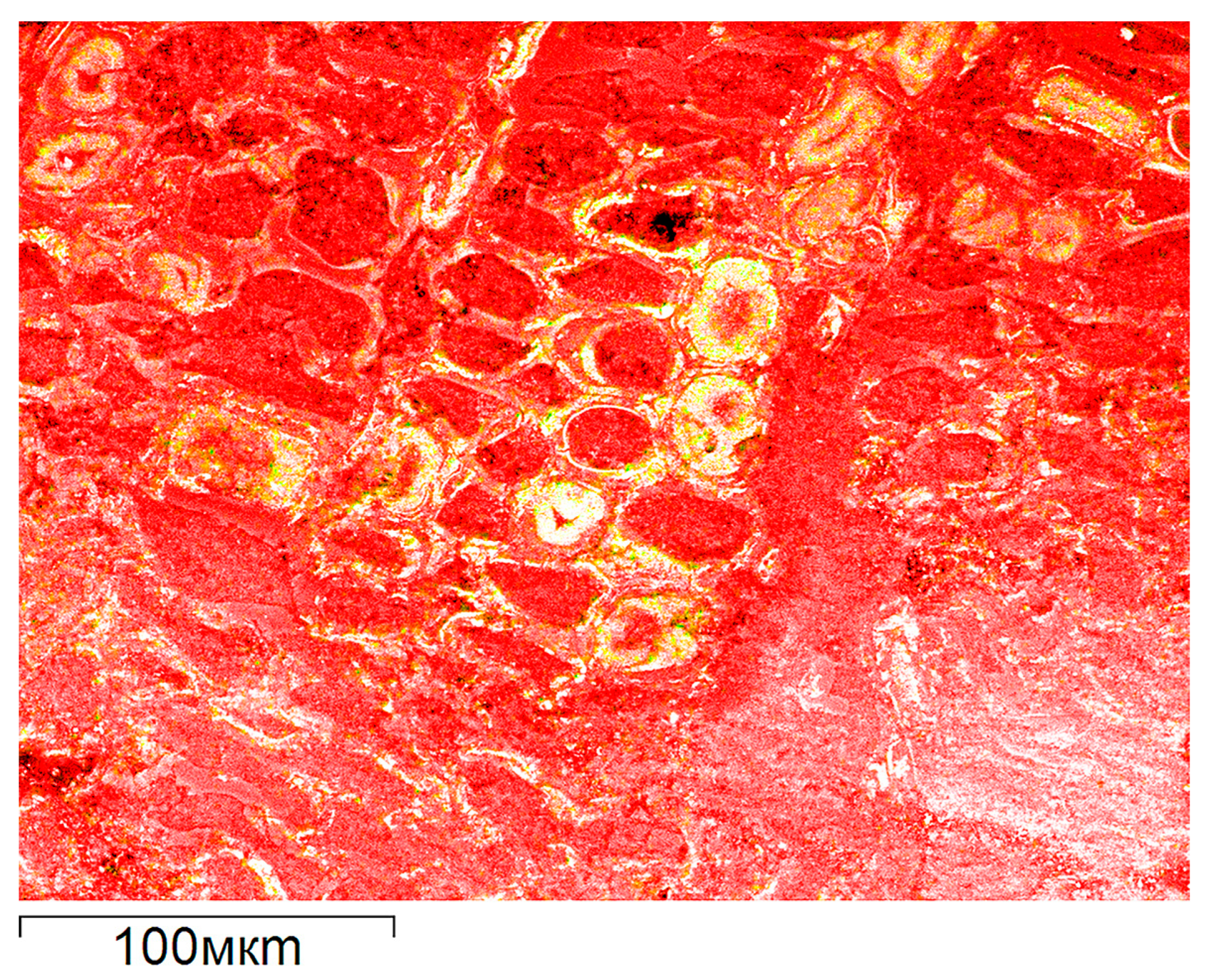 Minerals 14 01128 g012