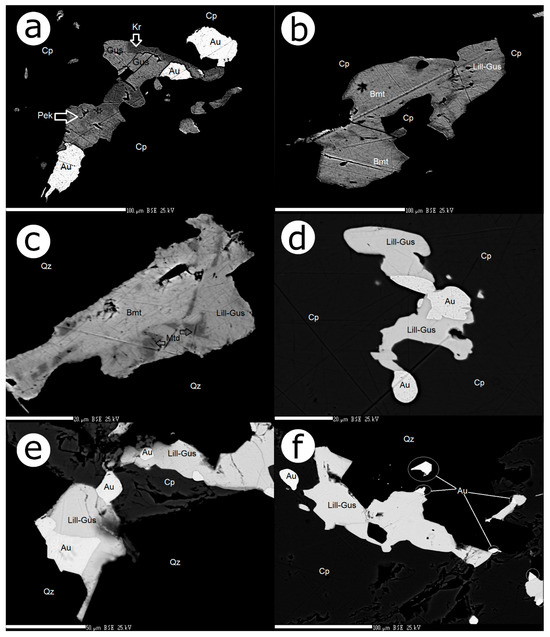 Minerals 14 01182 g004