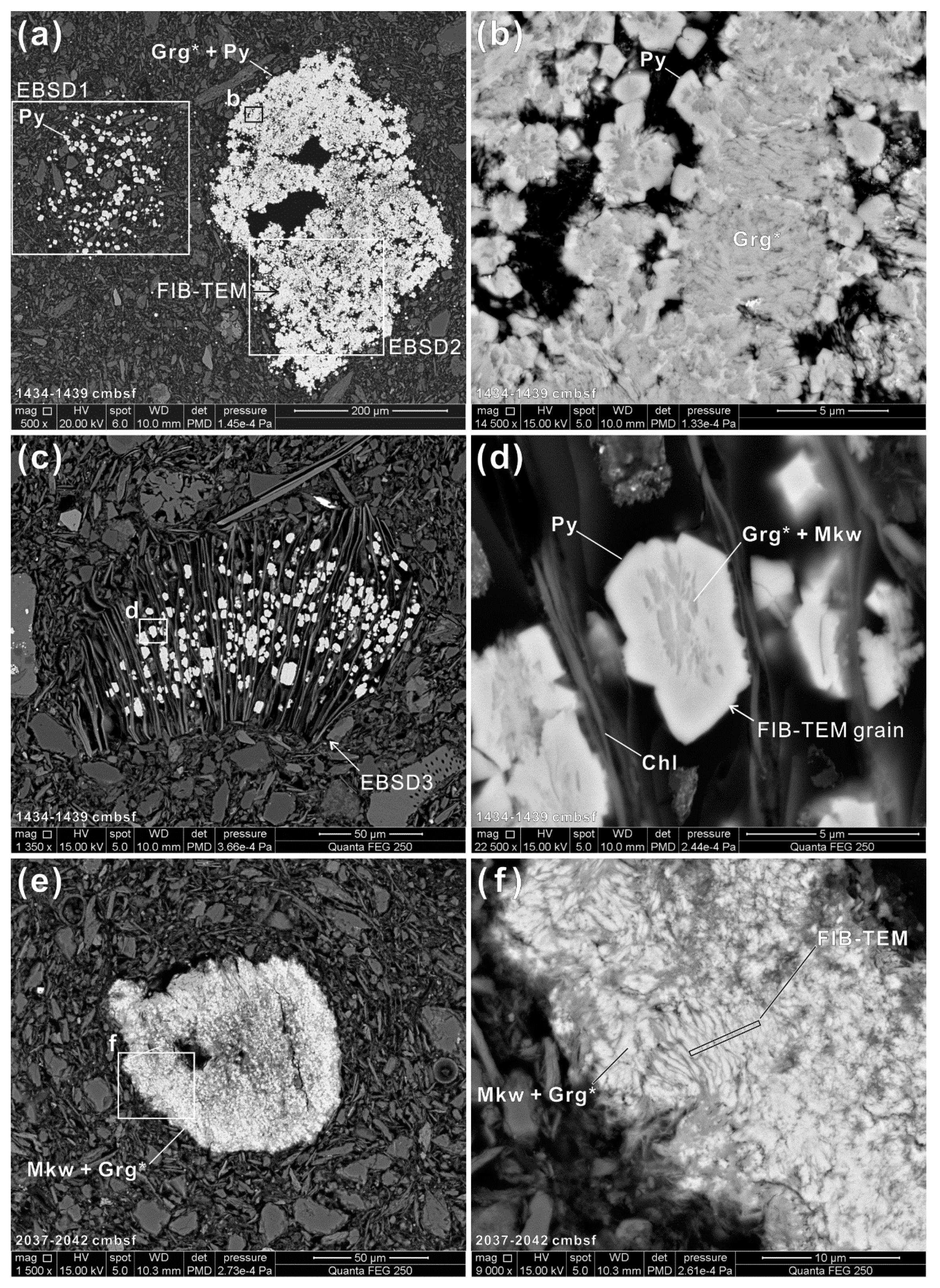 Minerals 14 01206 g002